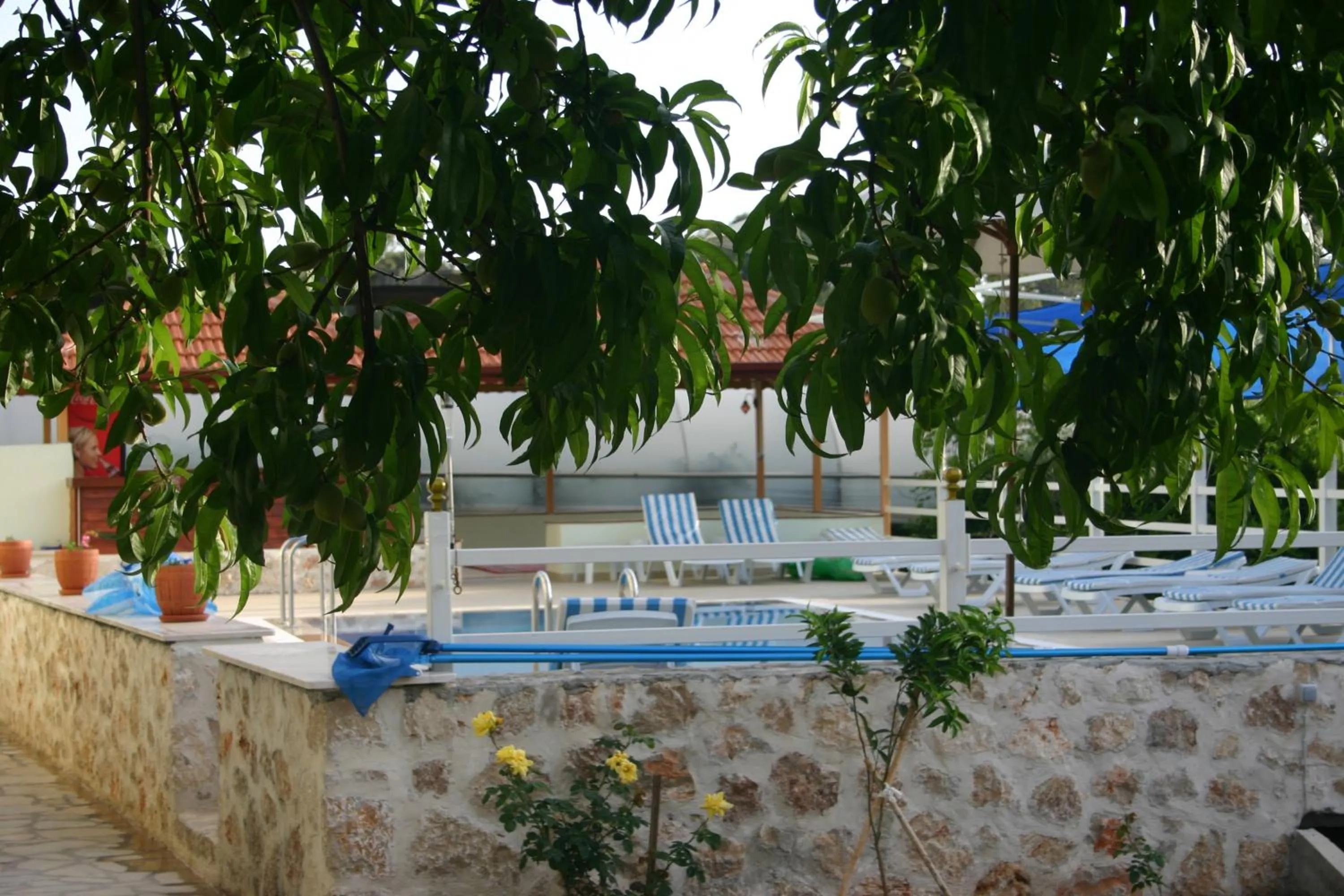 Swimming pool in Akay Hotel