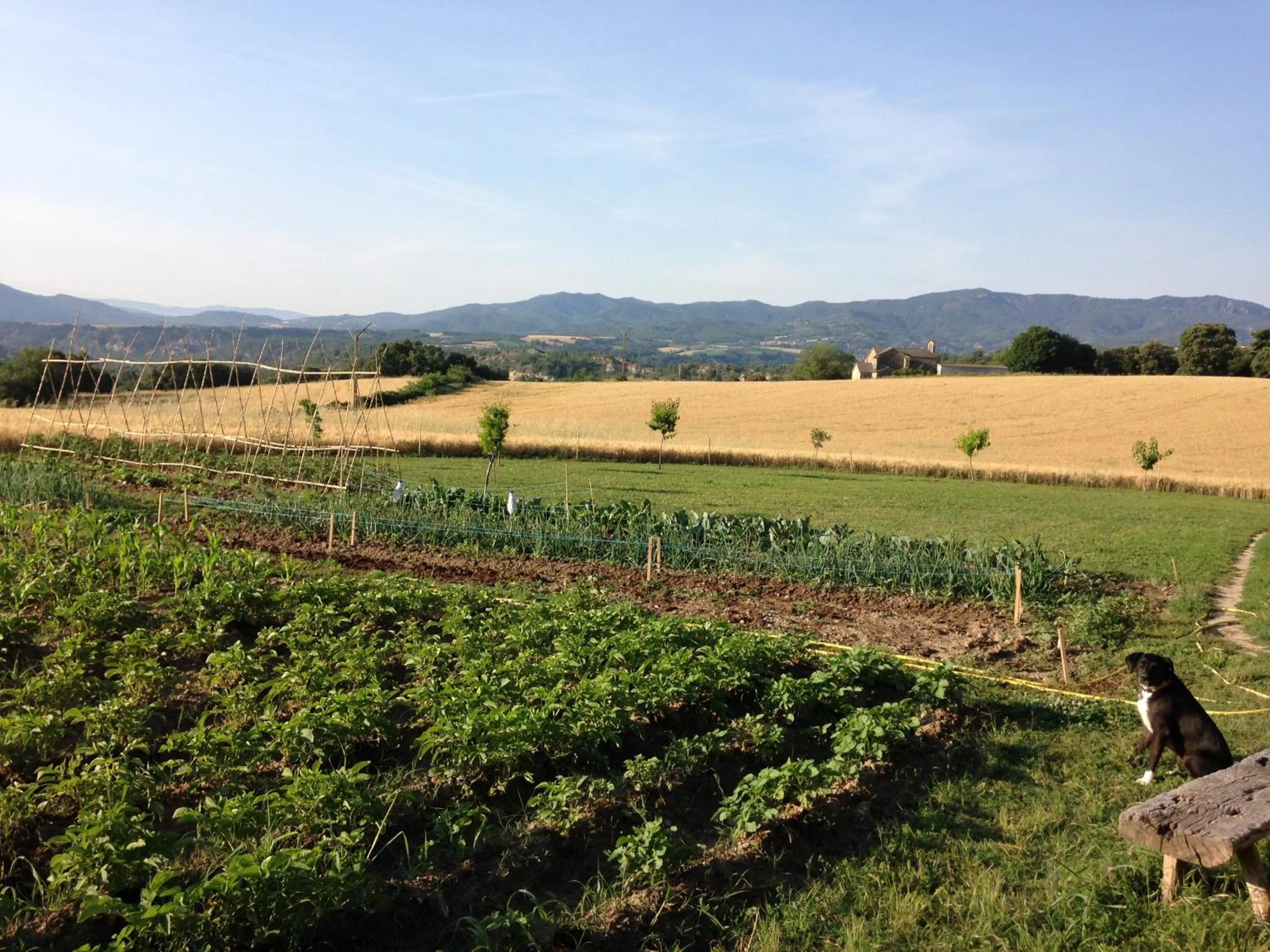 Garden in Casa Lascorz