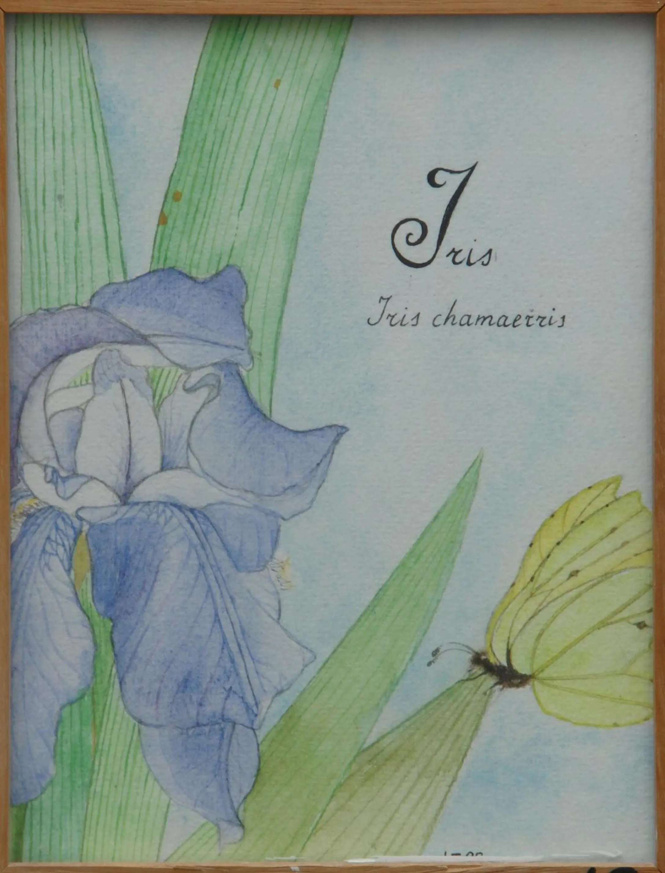 Property building in Albergo Boutique Casajanca