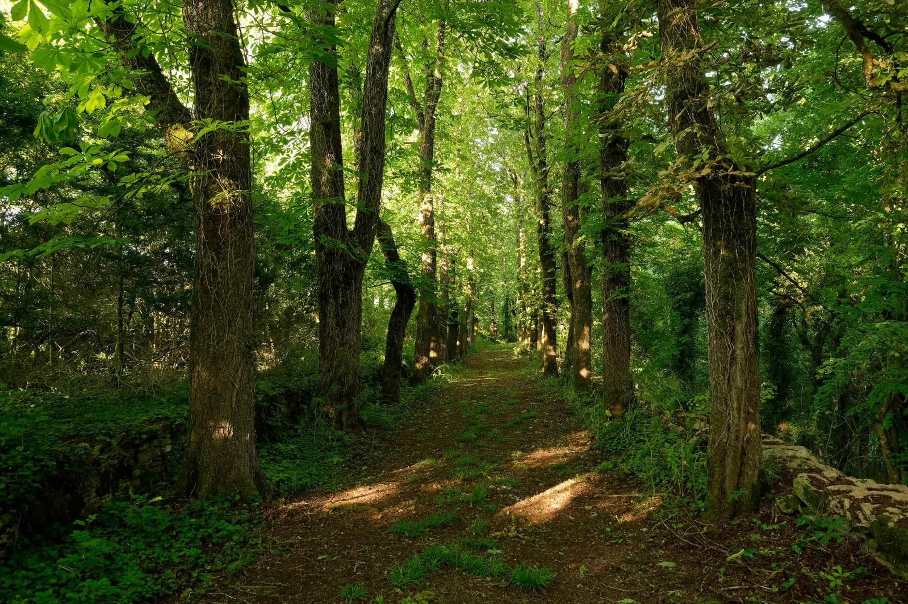 Natural landscape in Les Demeures de Valette
