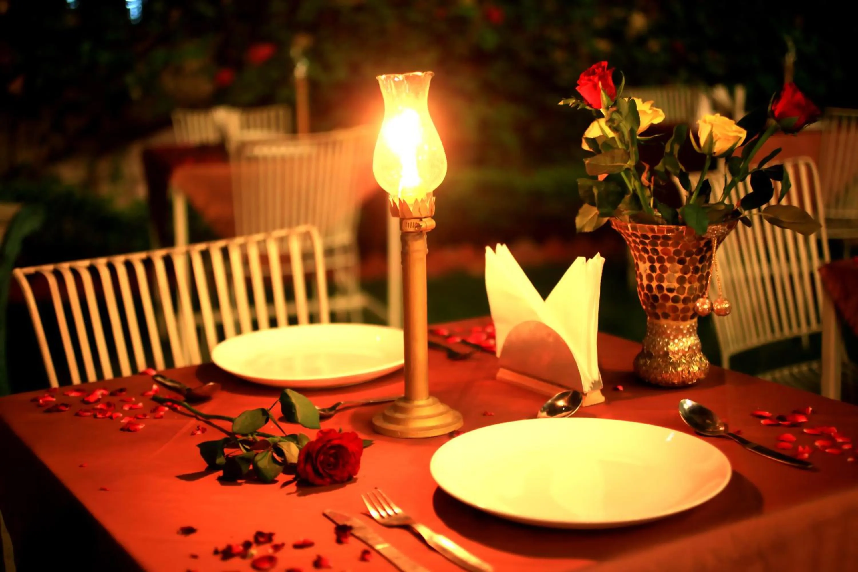 Restaurant/places to eat in The Kothi Heritage