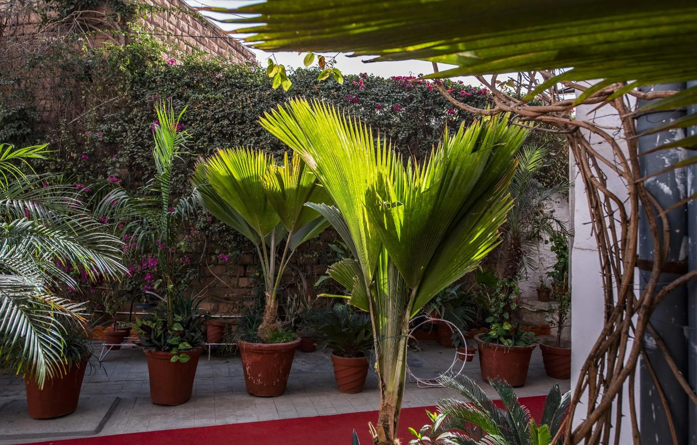 Decorative detail in The Kothi Heritage