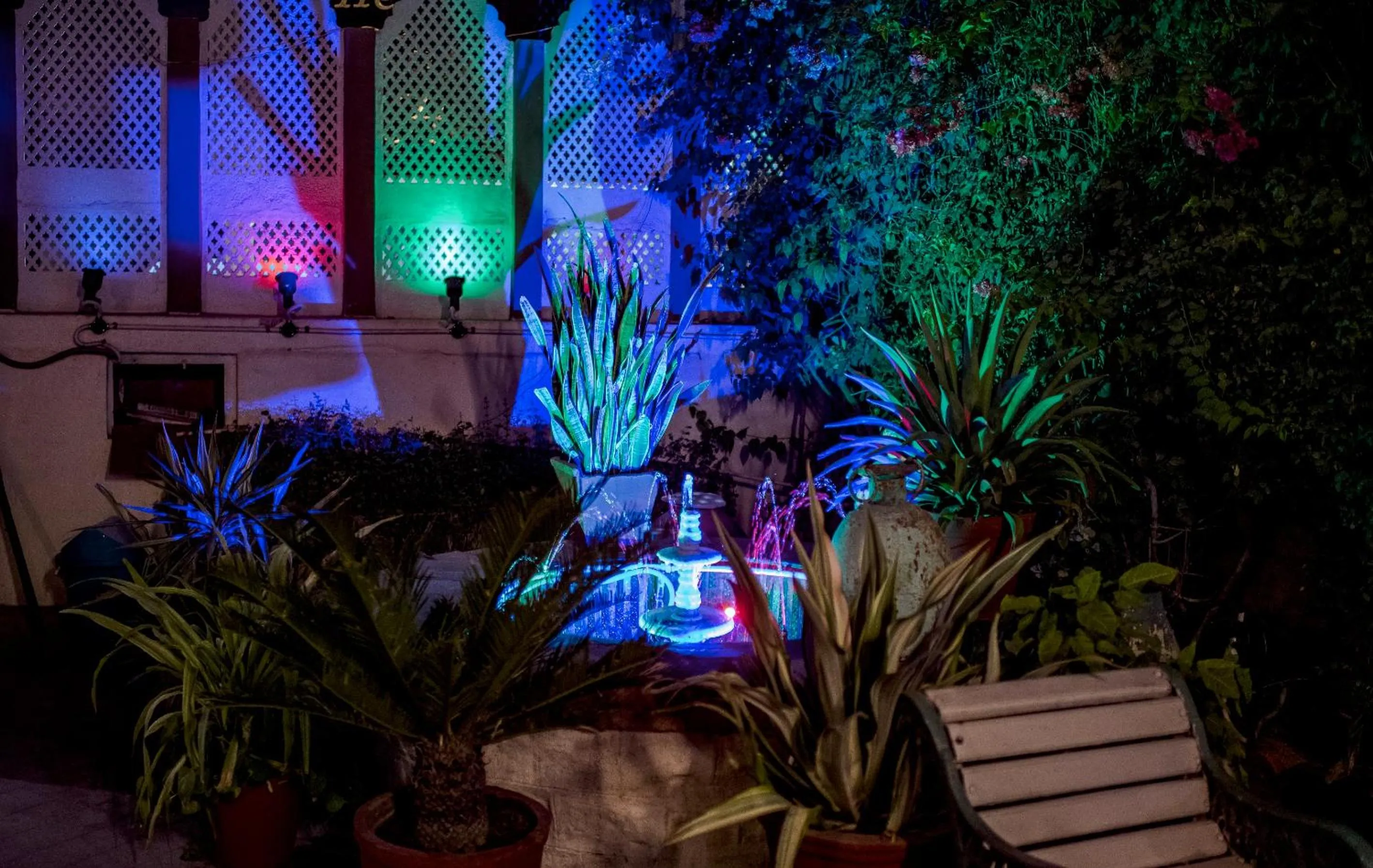 Garden in The Kothi Heritage