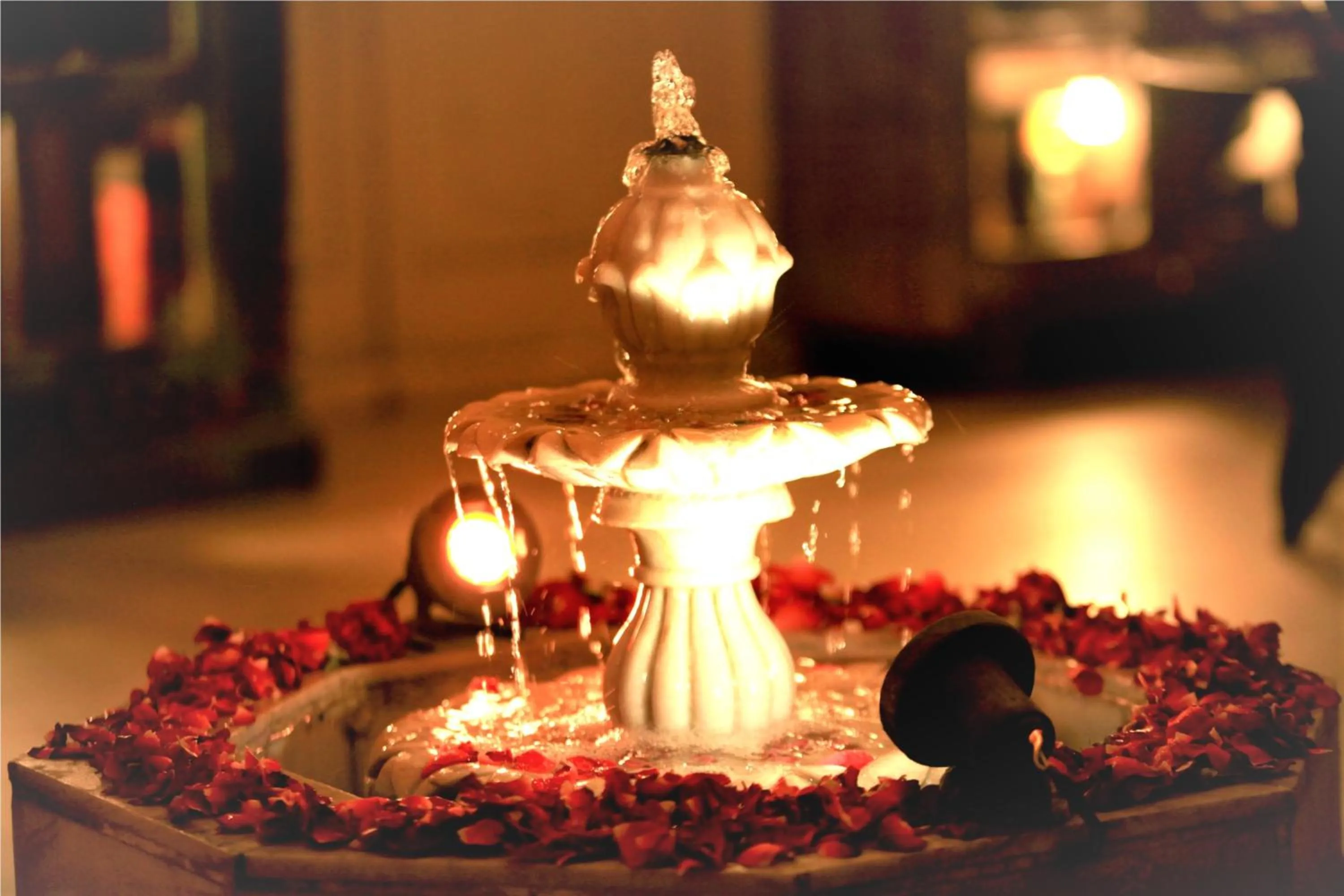 Decorative detail in The Kothi Heritage