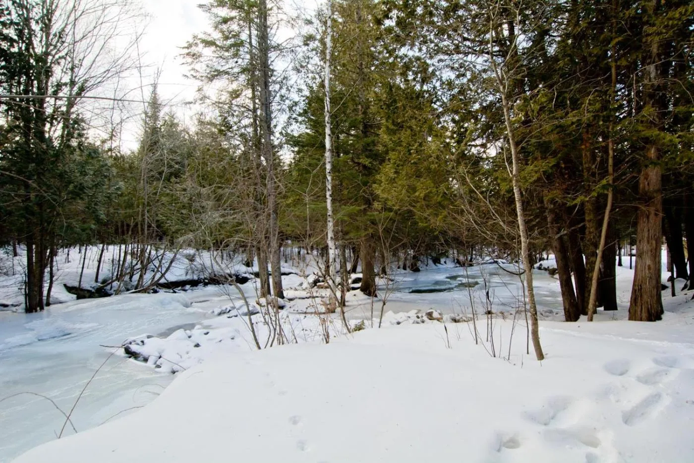 Camping Chalets Spas Pignons Rouges