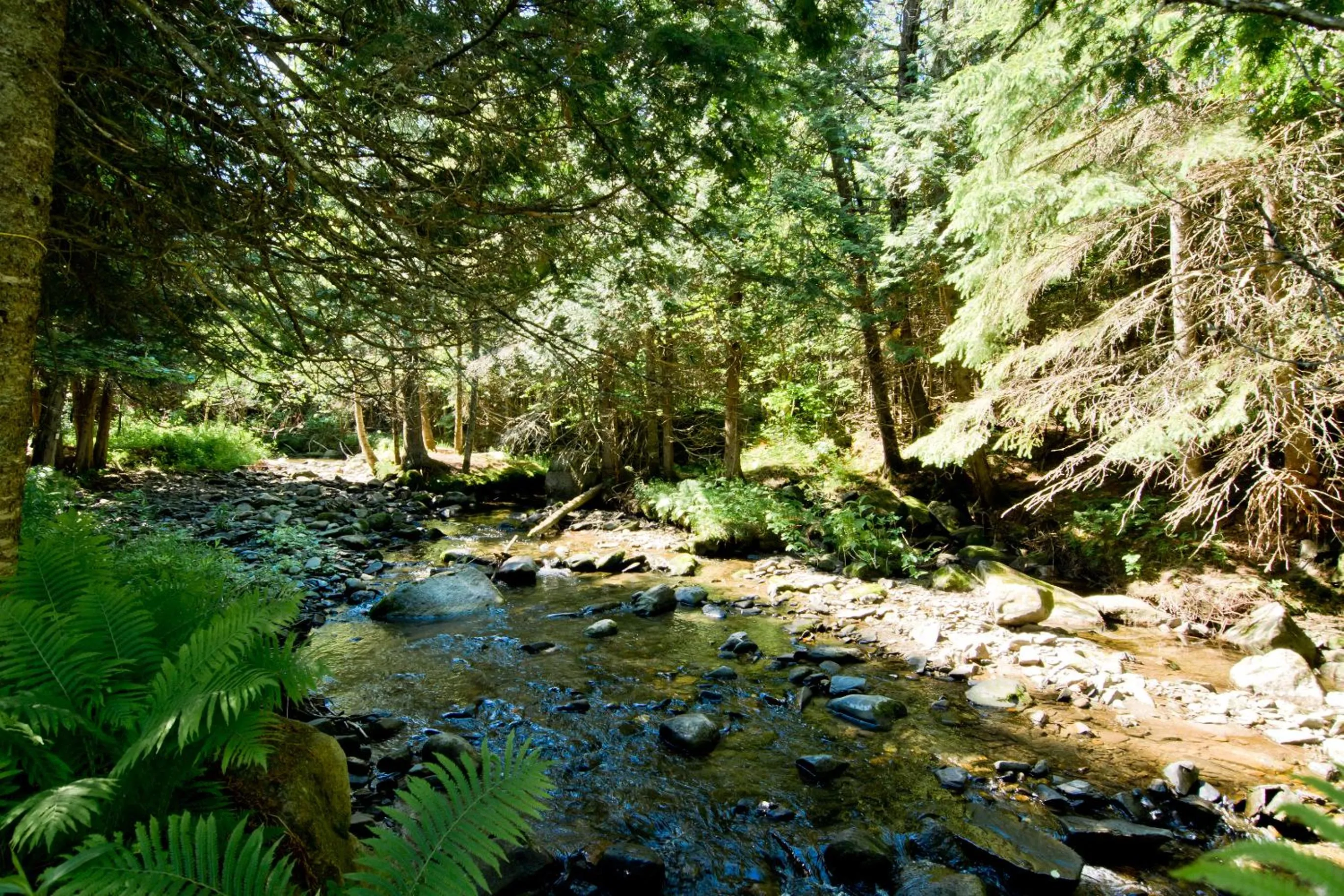Camping Chalets Spas Pignons Rouges