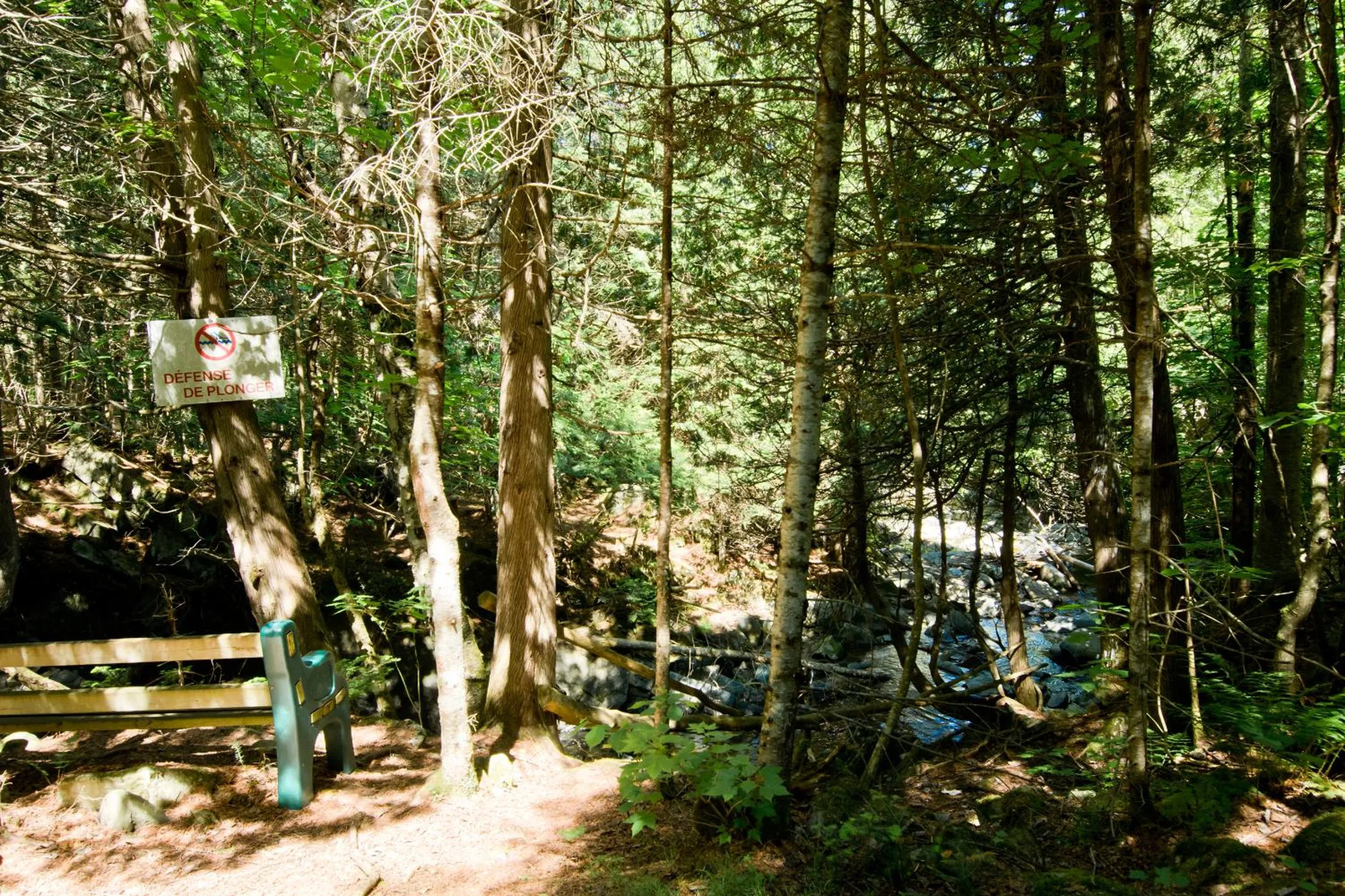 Camping Chalets Spas Pignons Rouges