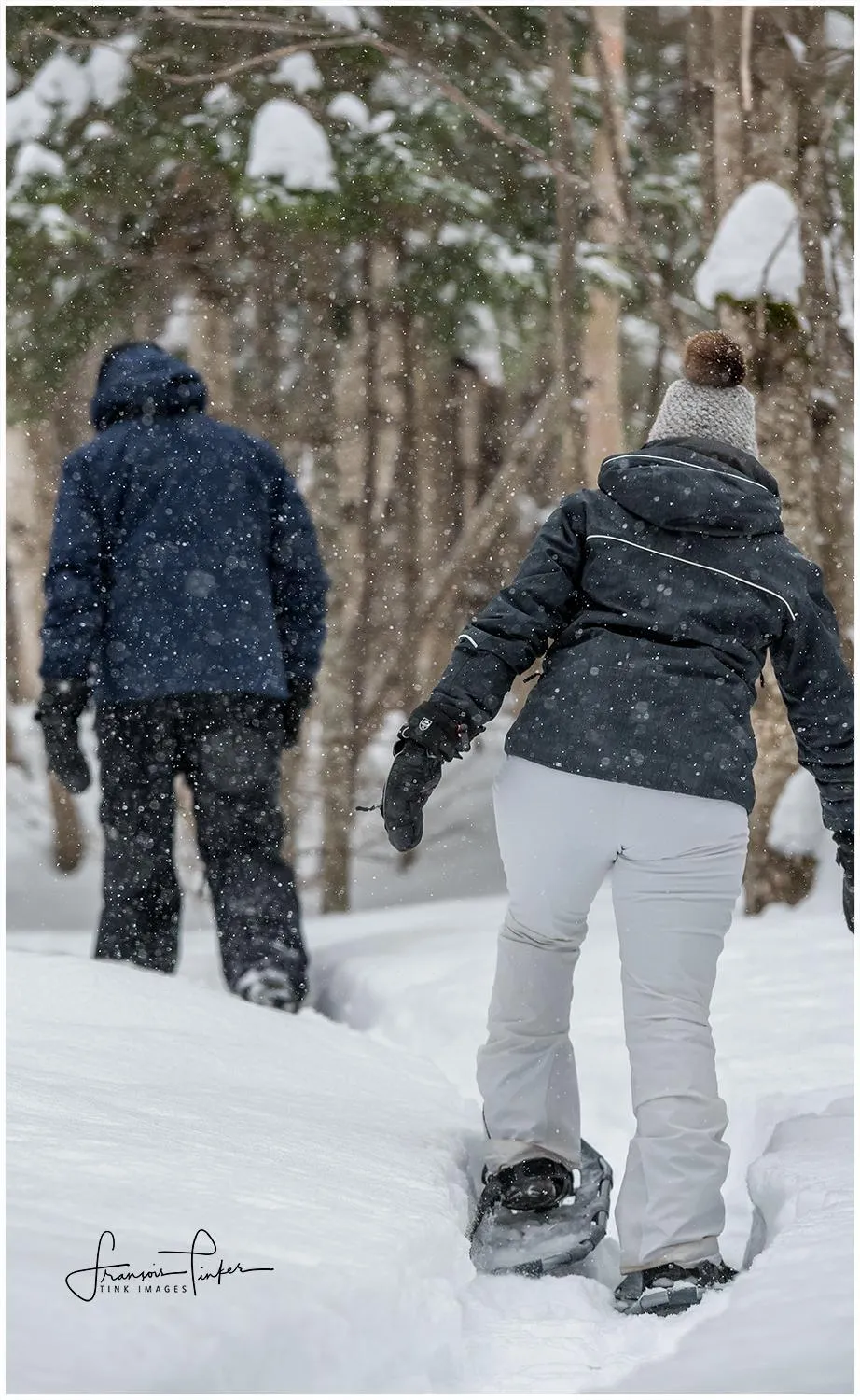 Camping Chalets Spas Pignons Rouges