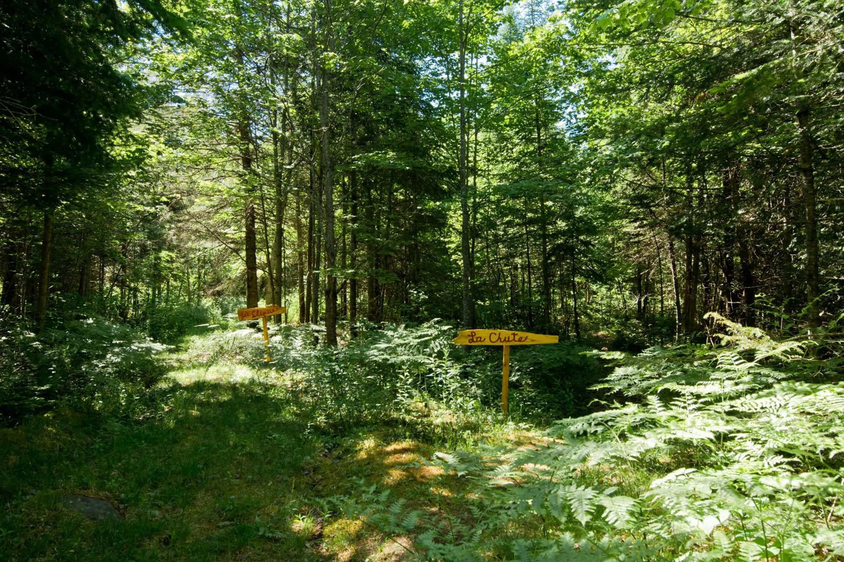 Camping Chalets Spas Pignons Rouges