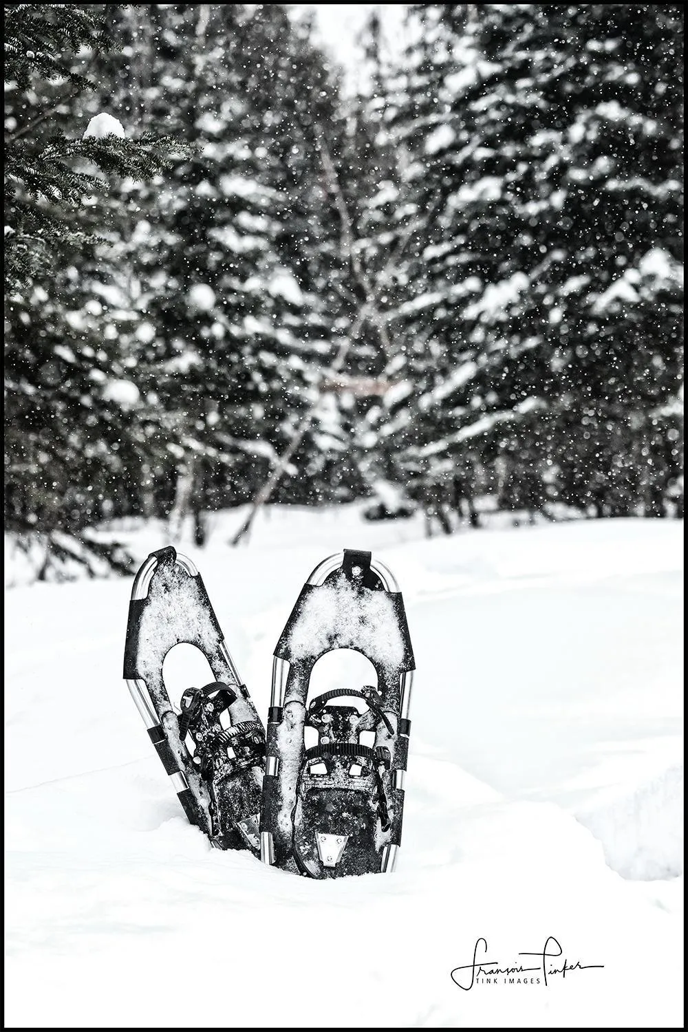 Camping Chalets Spas Pignons Rouges