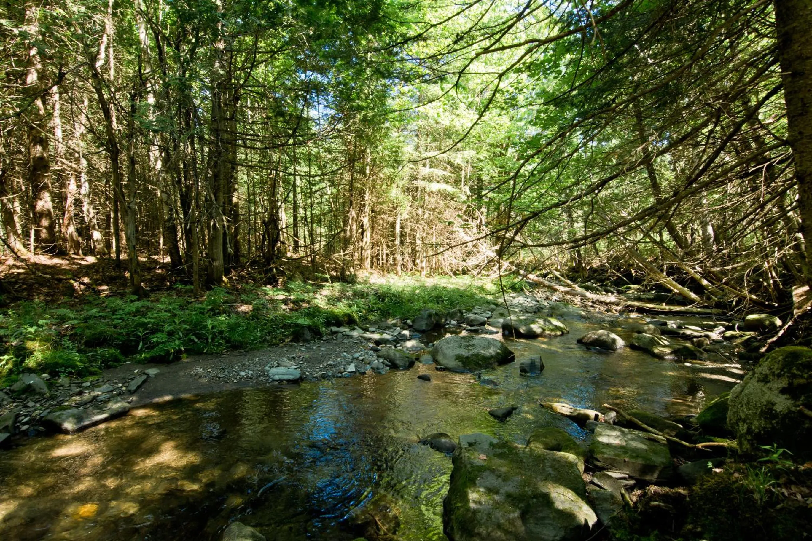 Camping Chalets Spas Pignons Rouges