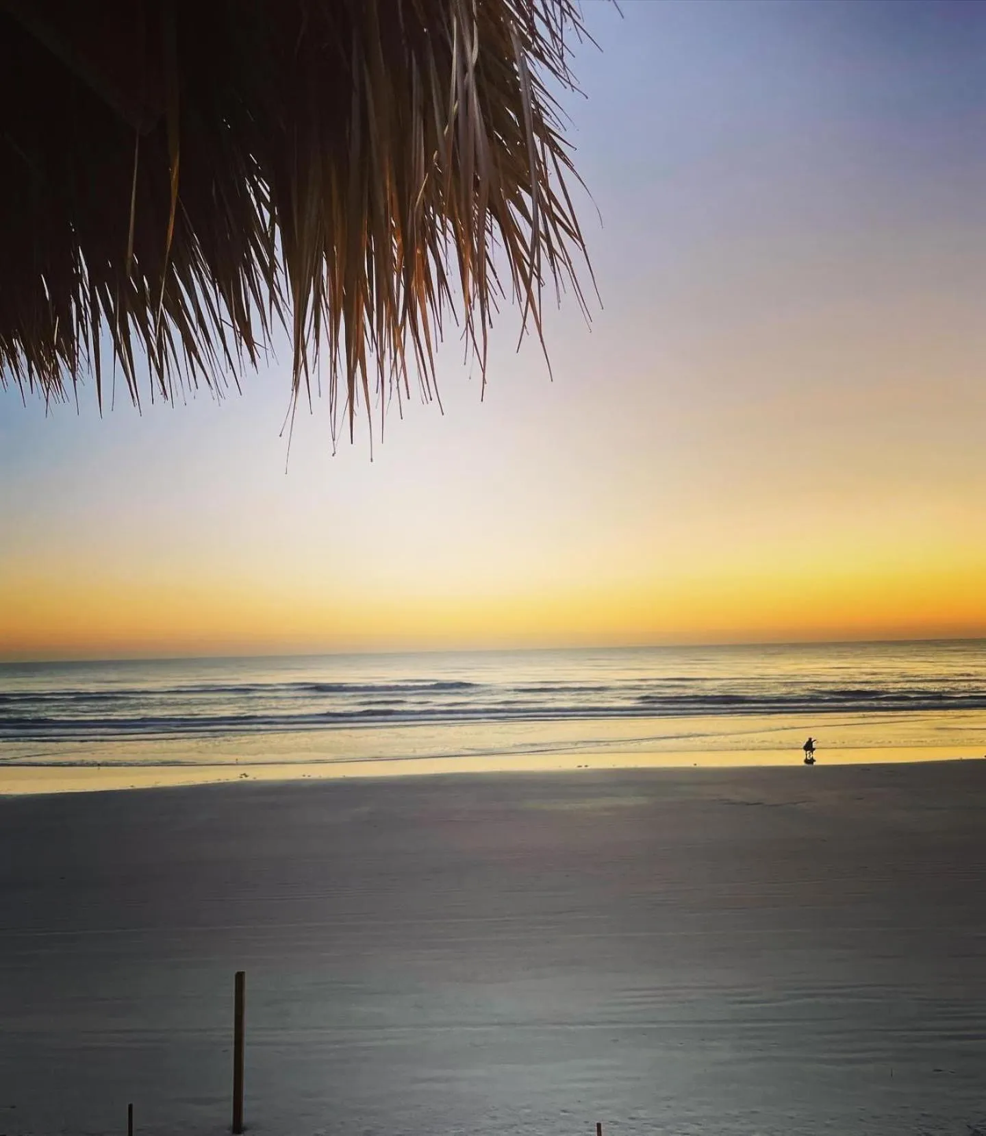 Beach in Hampton Inn Daytona Beach/Beachfront
