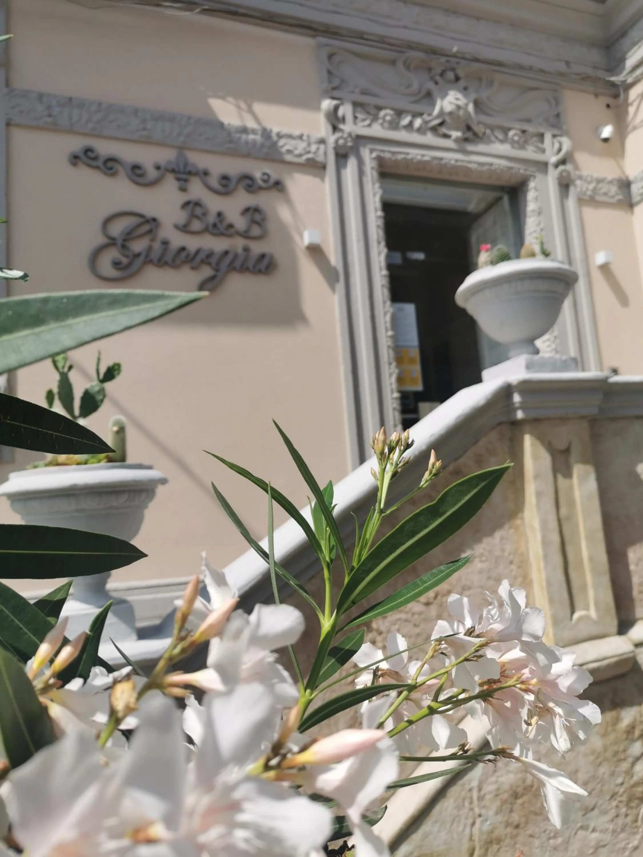 Patio in b&b Giorgia