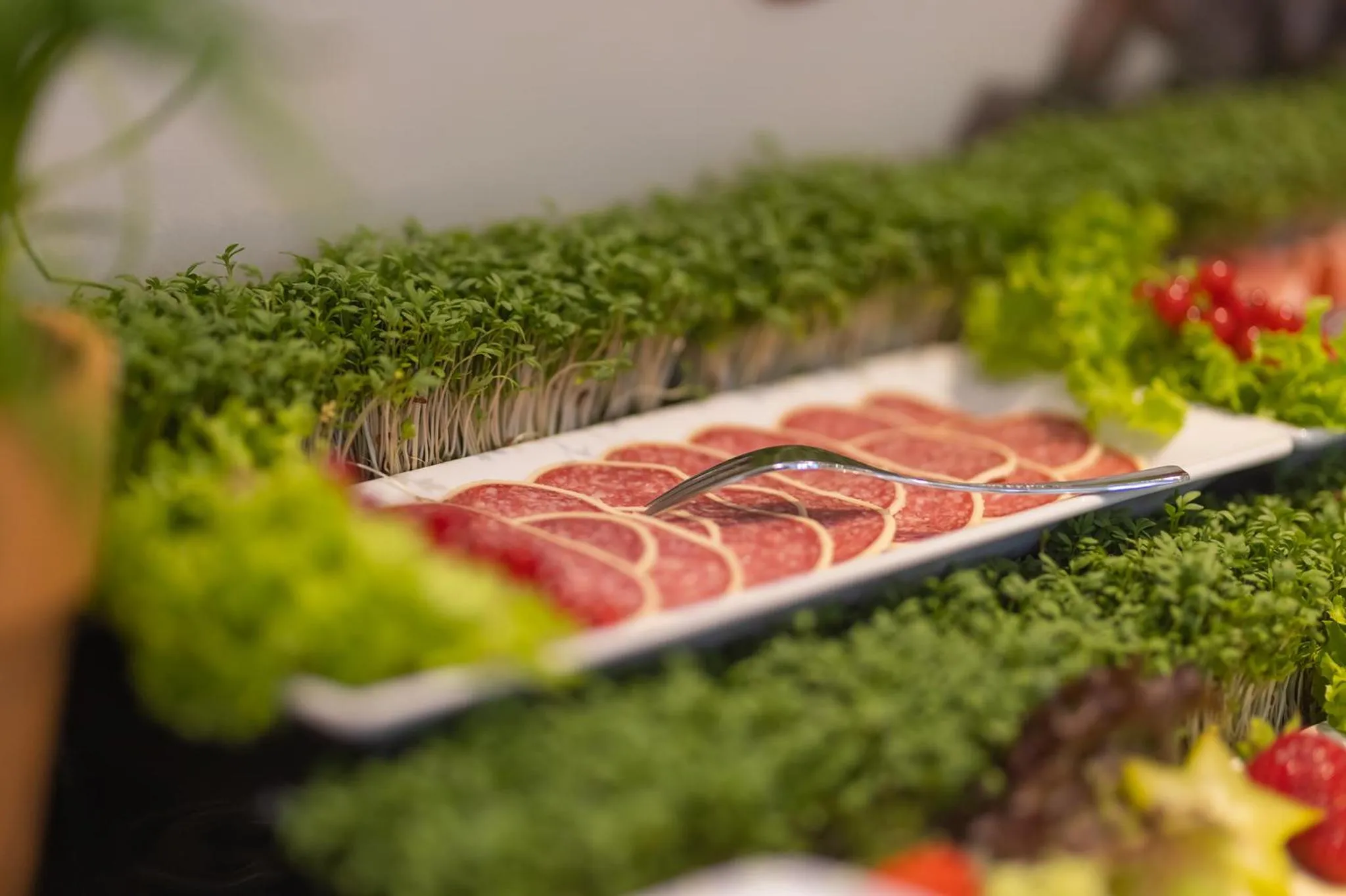 Boardinghouse HOME - adults only -