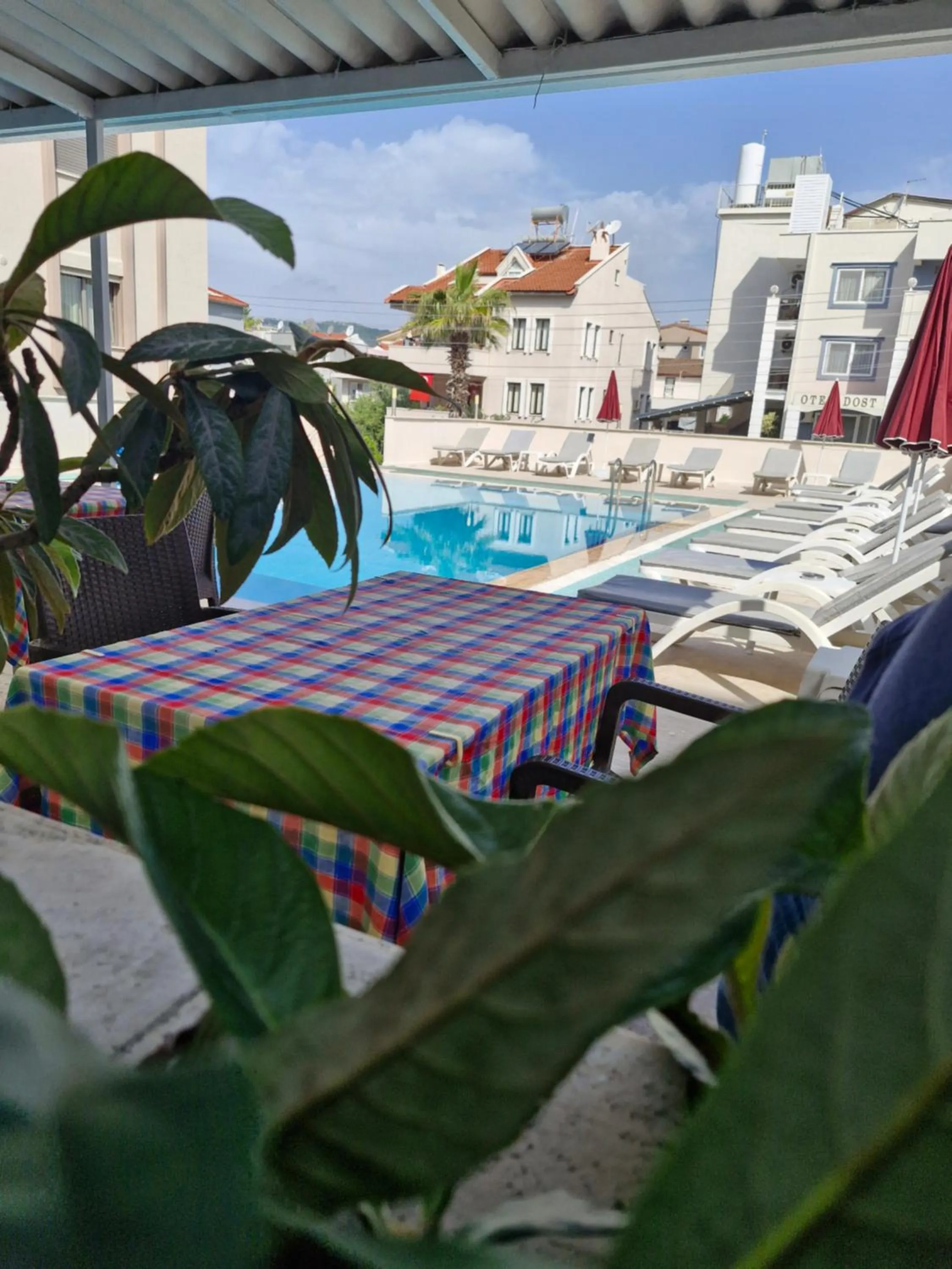 Swimming pool in Hotel Dost