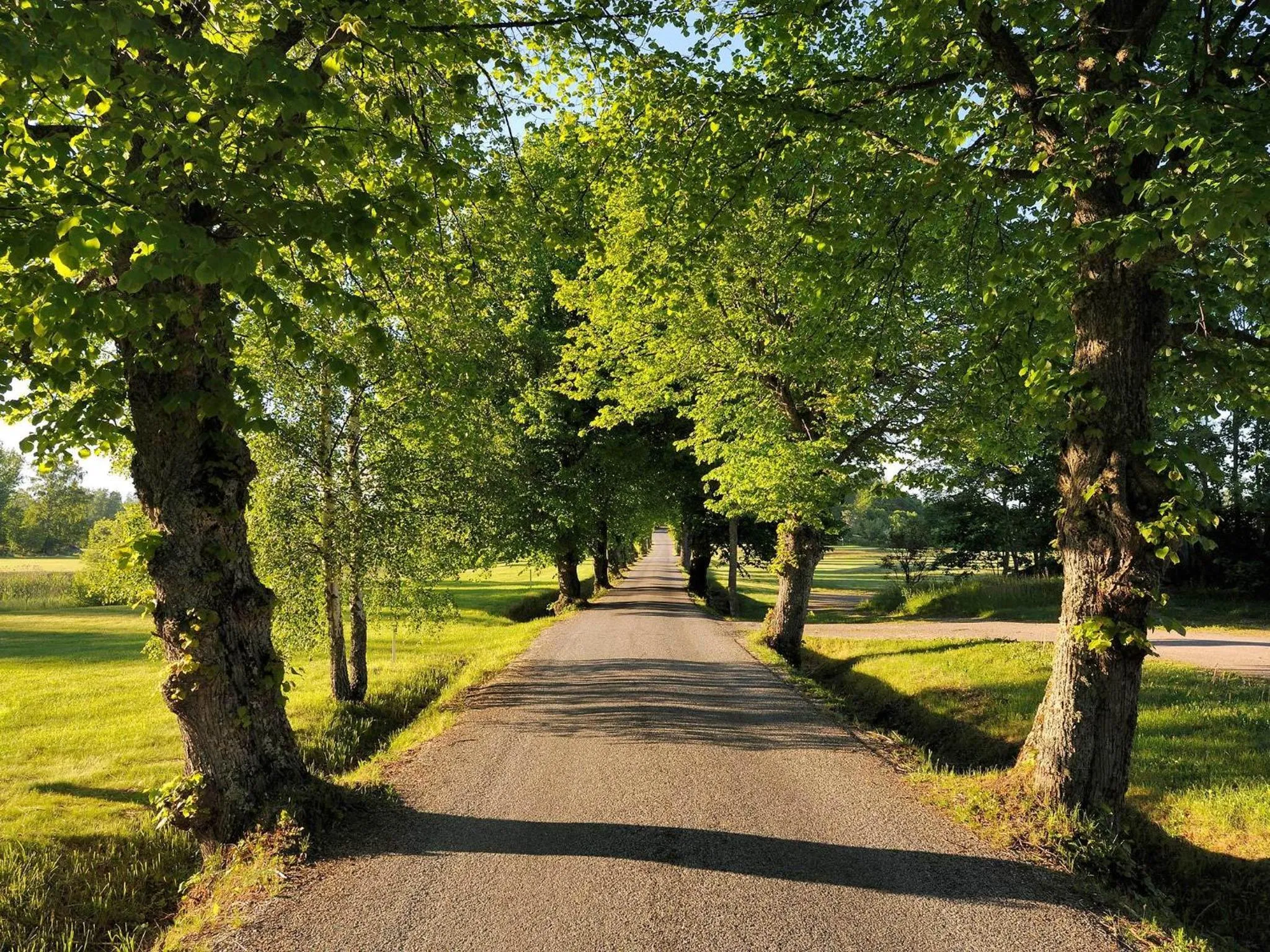 Nearby landmark in Körunda Golf & Conference Hotel