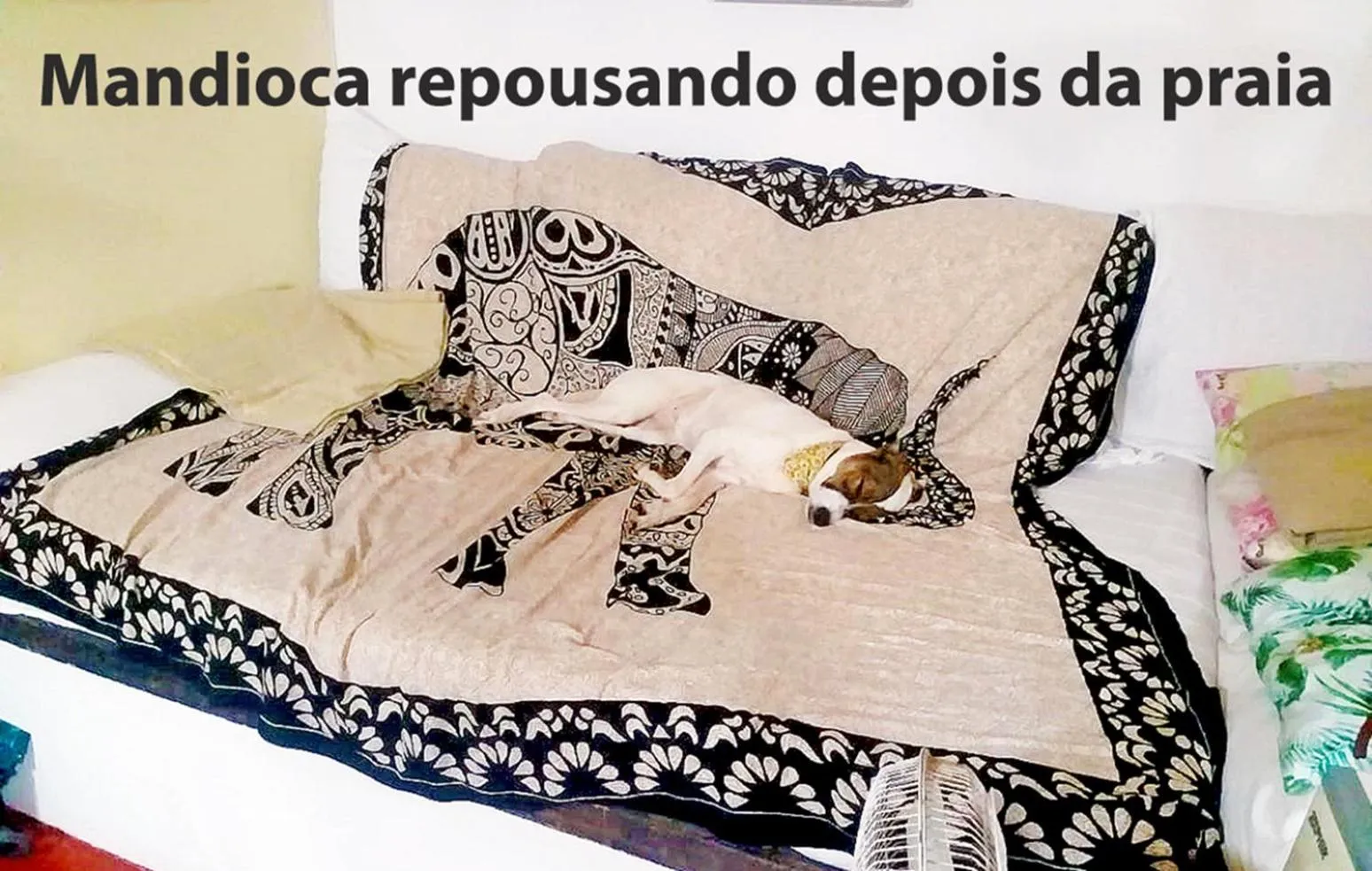 Bed in Casa na praia de Setiba com panorama fantástico