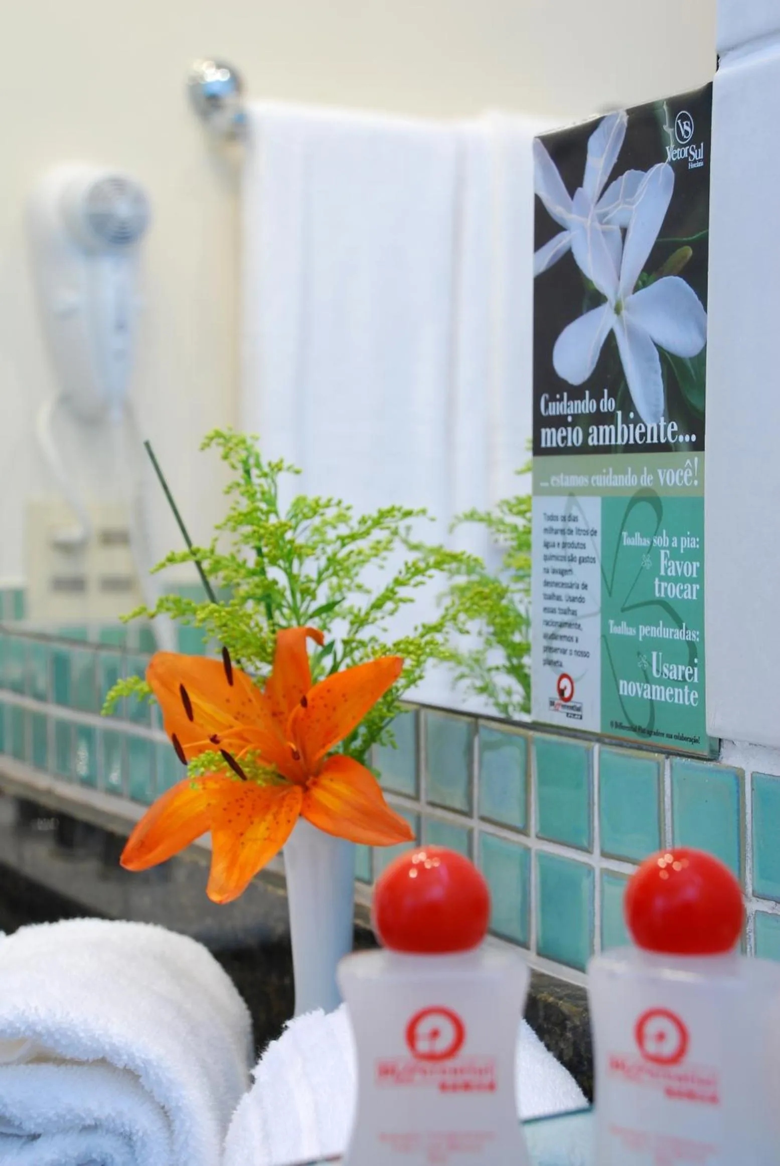 Bathroom in Differential Flat