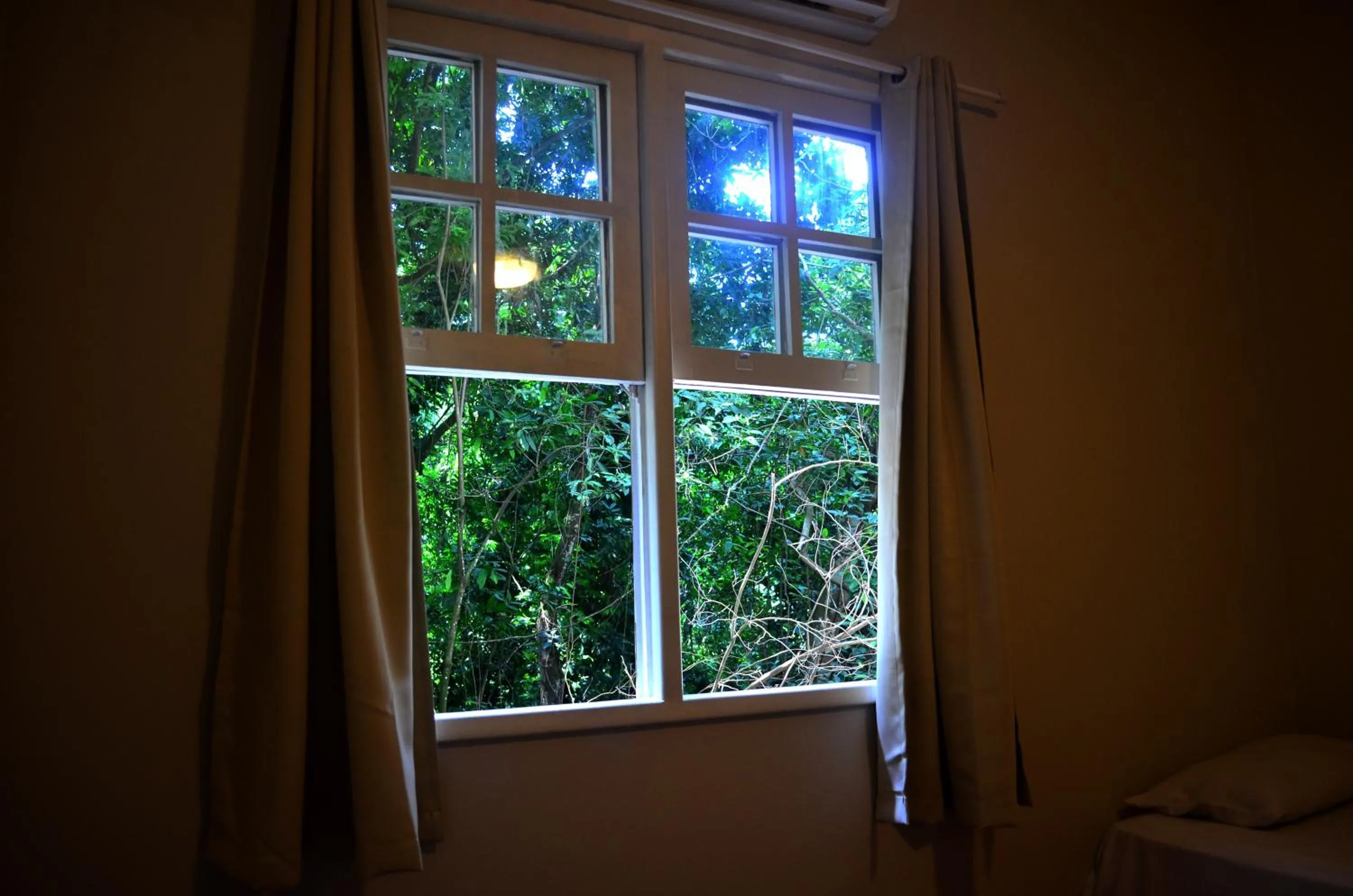 Garden view in CabanaCopa Hostel