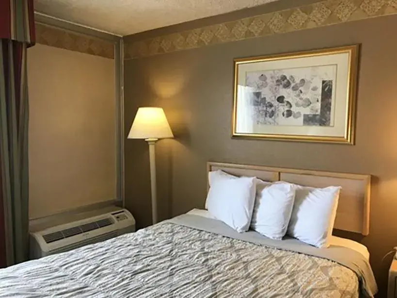 Single Room - single occupancy in Brentwood Inn & Garden Single Room - single occupancy in Brentwood Inn & Garden