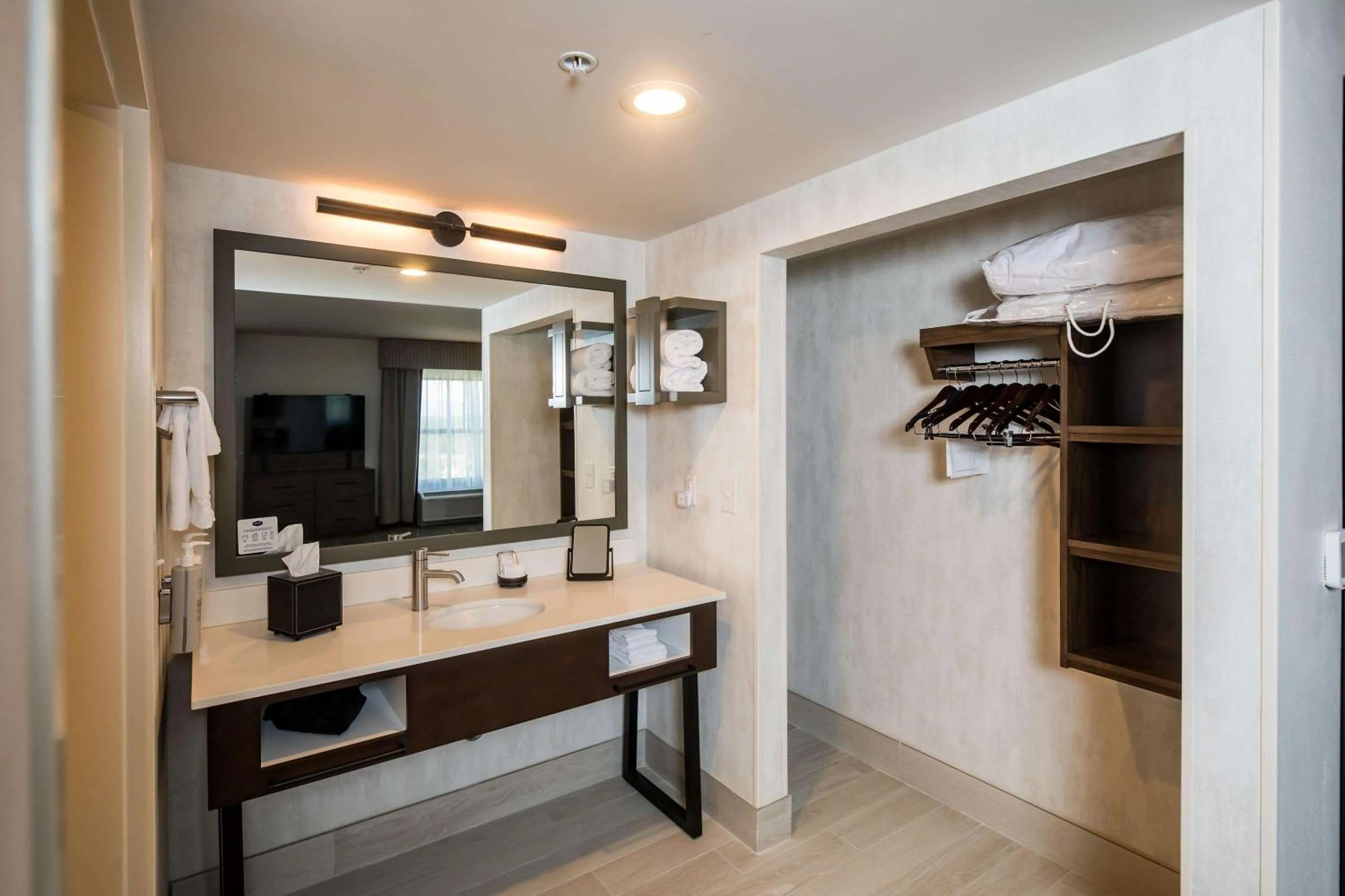 Bathroom in Hampton Inn & Suites Dobson