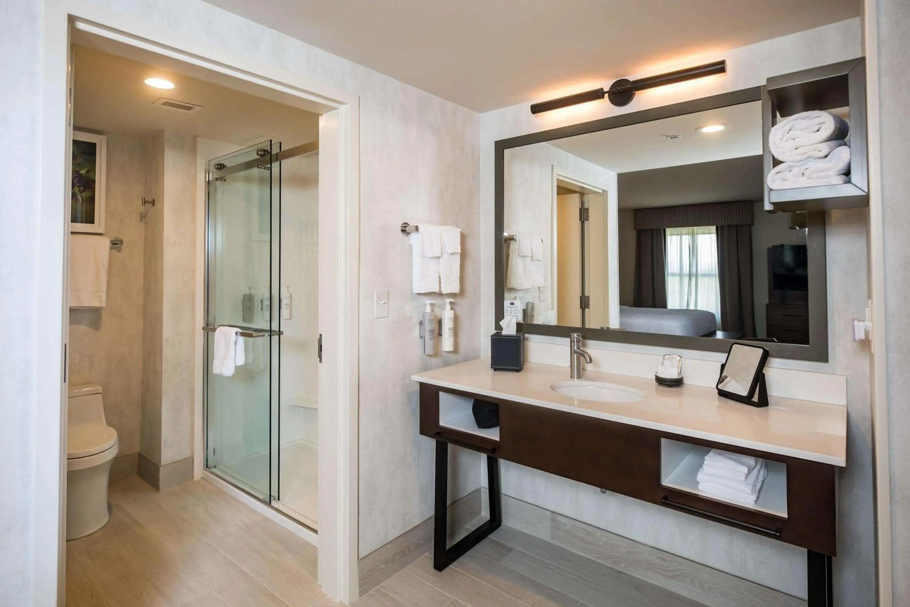 Bathroom in Hampton Inn & Suites Dobson