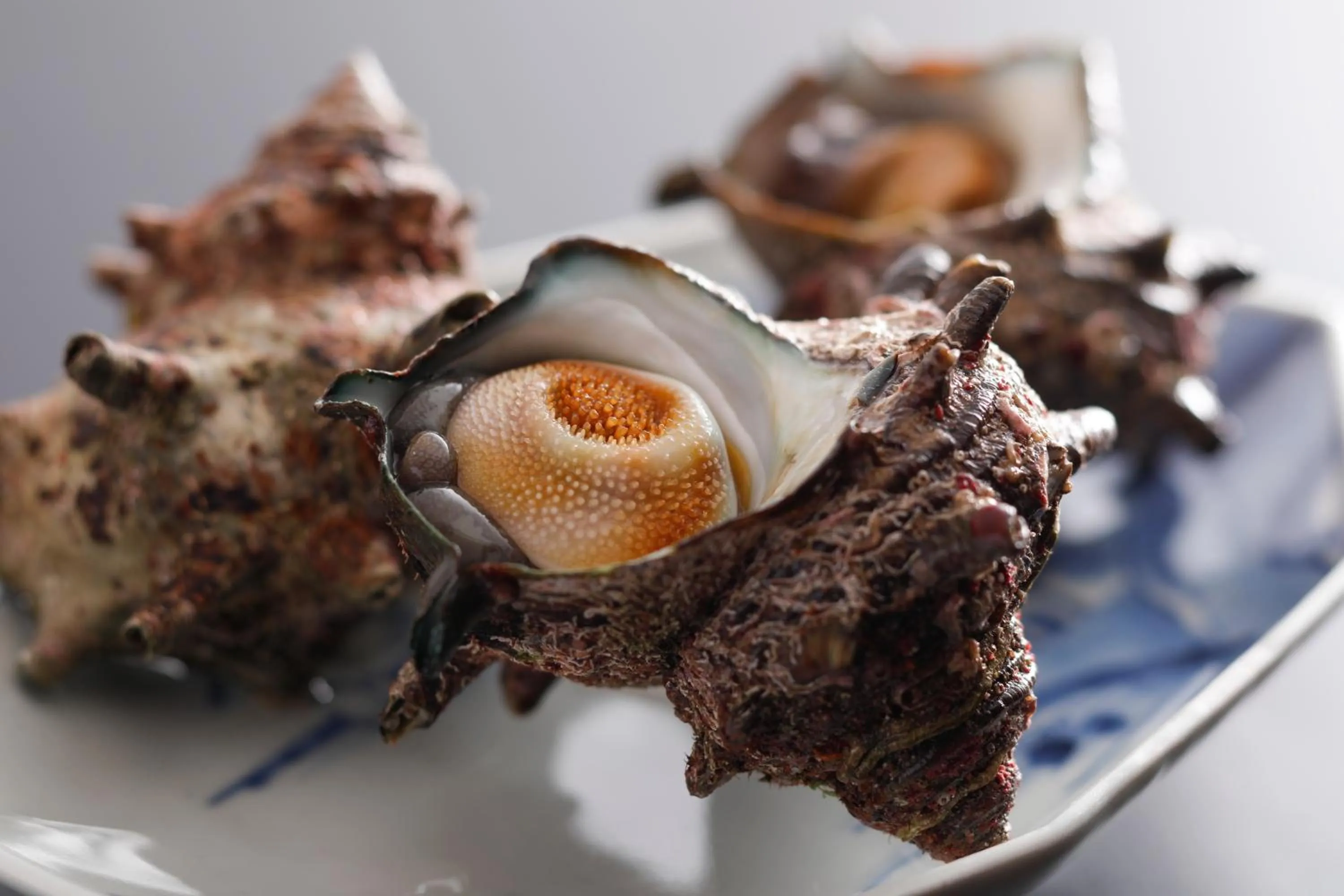 Food close-up in Seikiro Ryokan Historical Museum Hotel