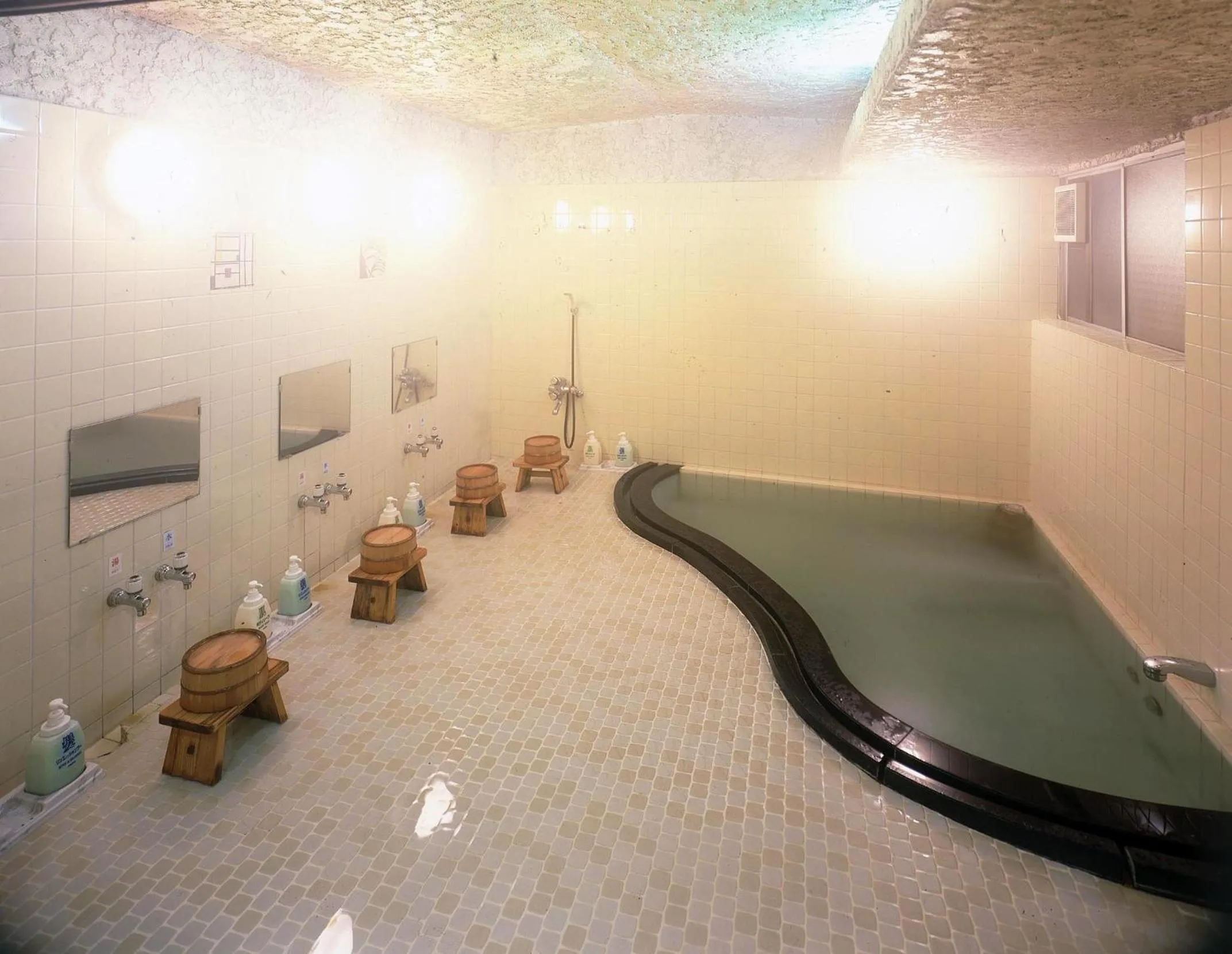 Hot Spring Bath in Seikiro Ryokan Historical Museum Hotel