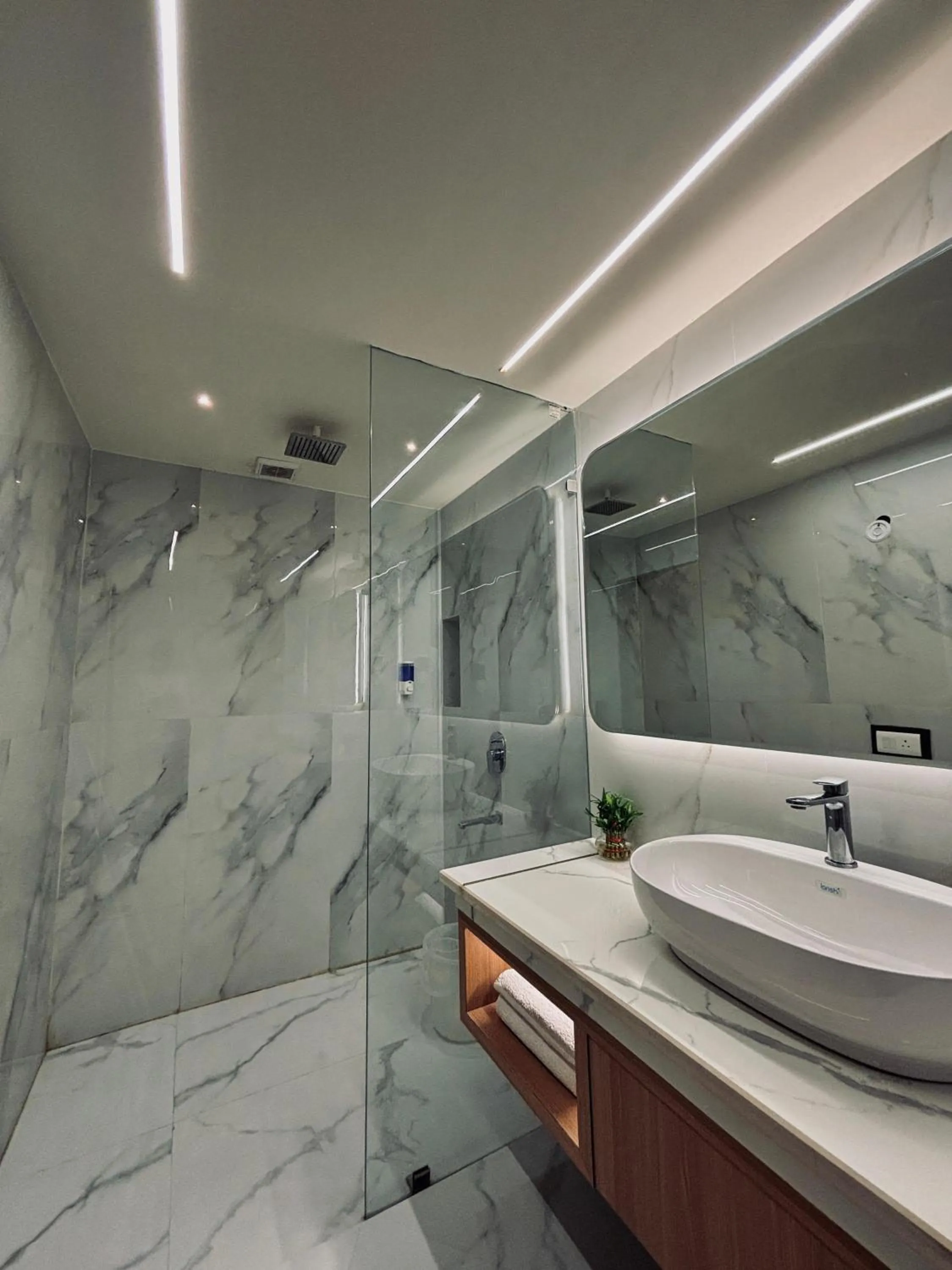 Shower in Taj Inn Hotel