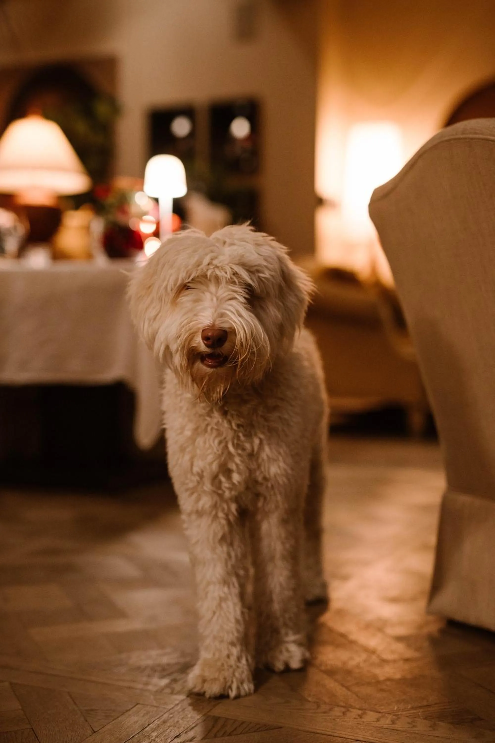 Cabosse, Boutique Palace & Spa