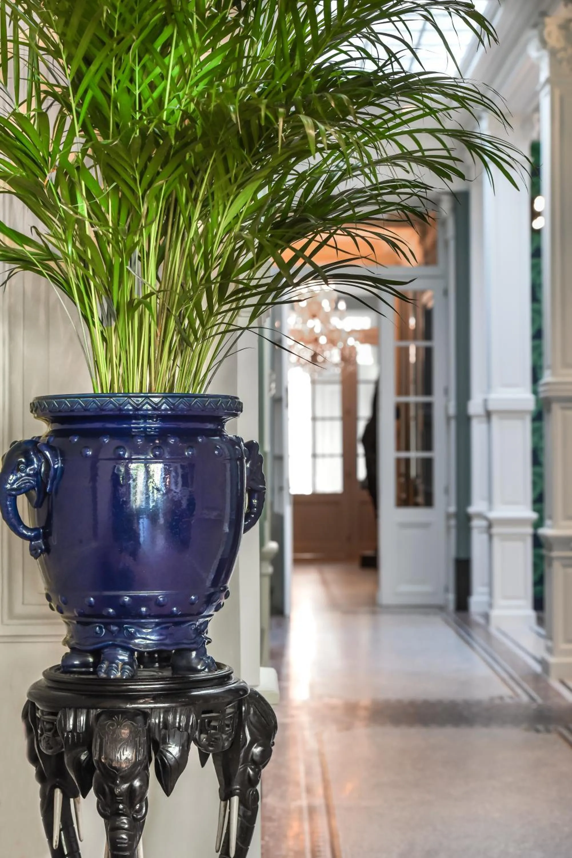 Cabosse, Boutique Palace & Spa