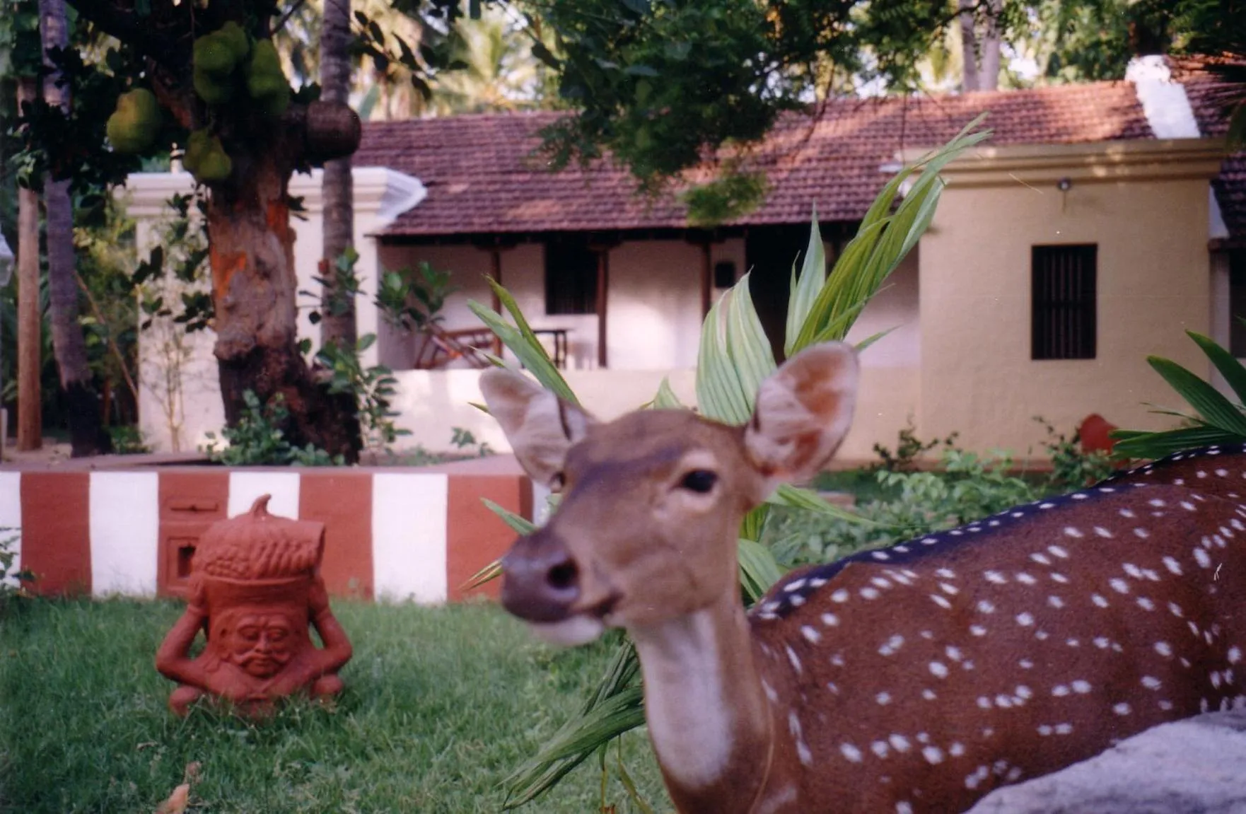 Indeco Hotels Swamimalai