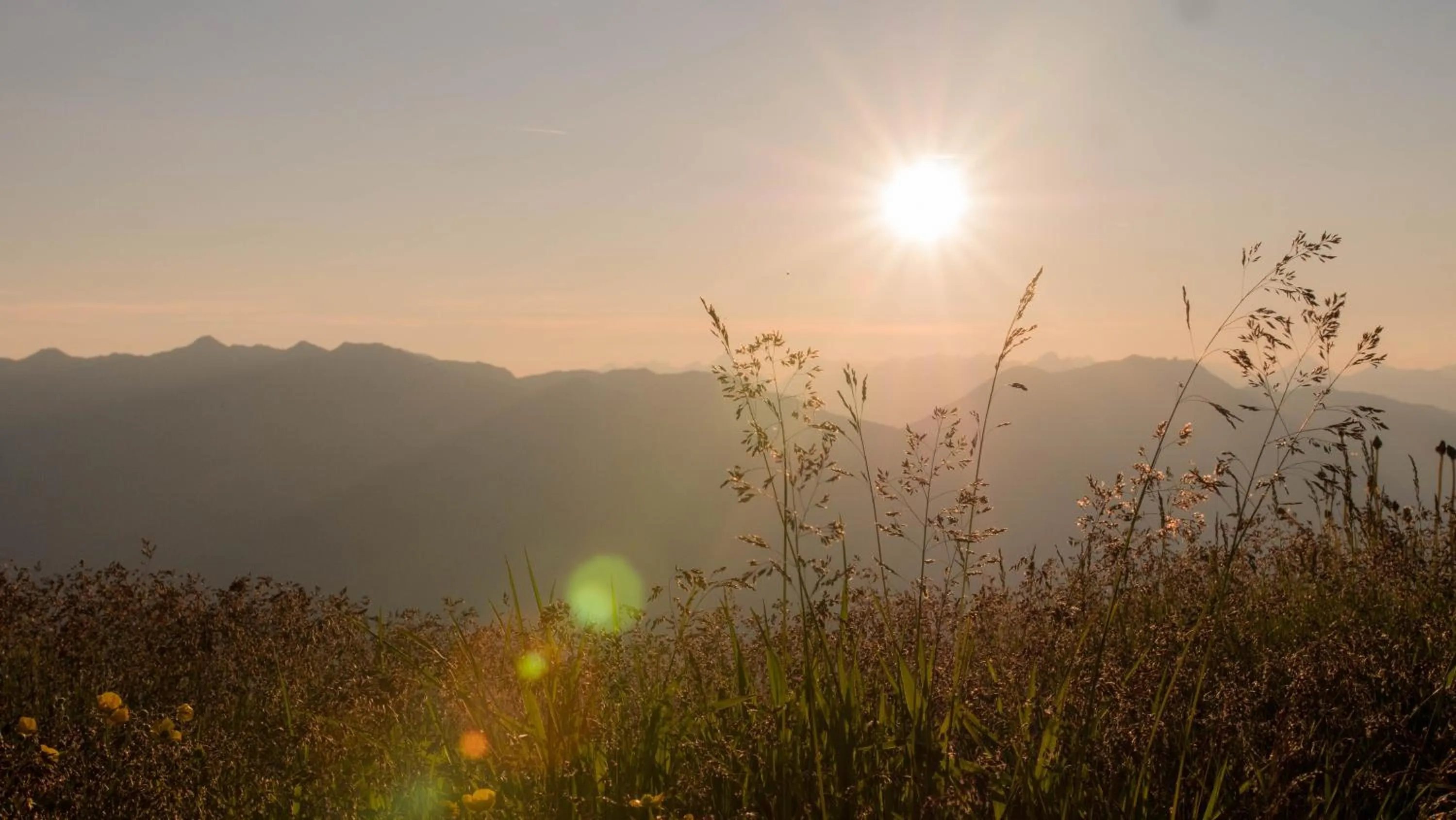 Hiking in Ferienhotel Sonnenhof