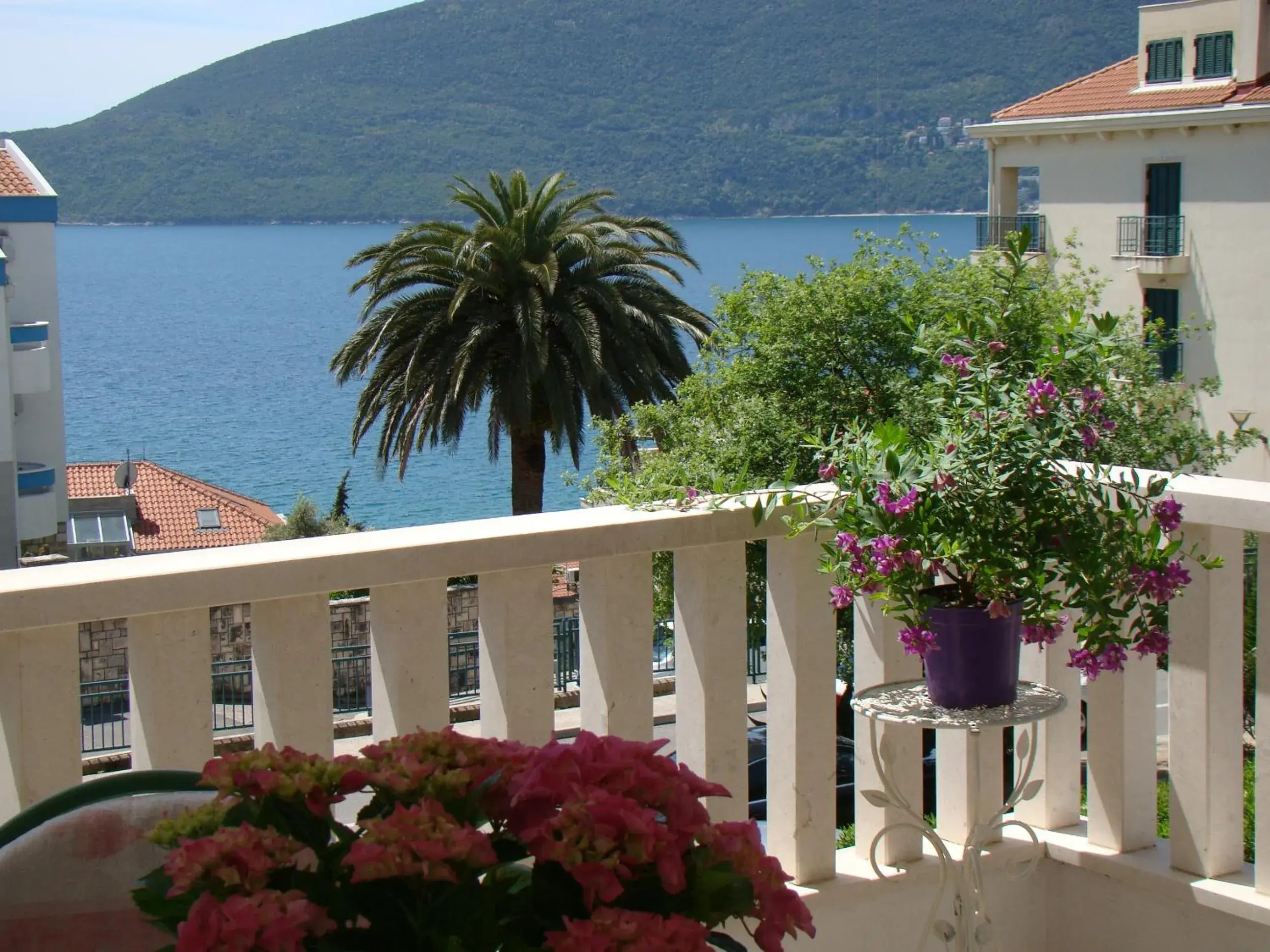 Apartments Milicevic Apartments Milicevic