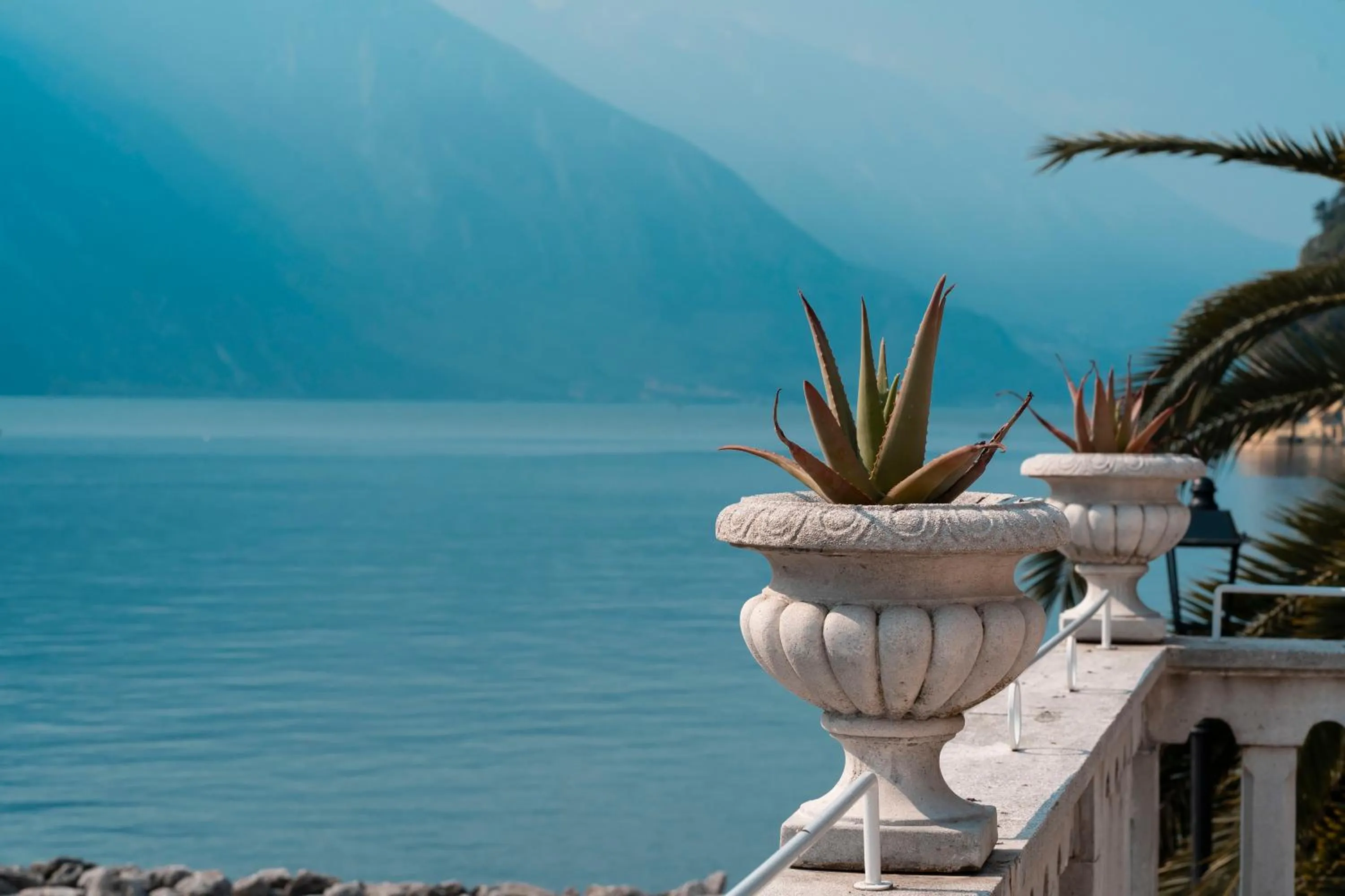 Day in Bellavista Lakefront