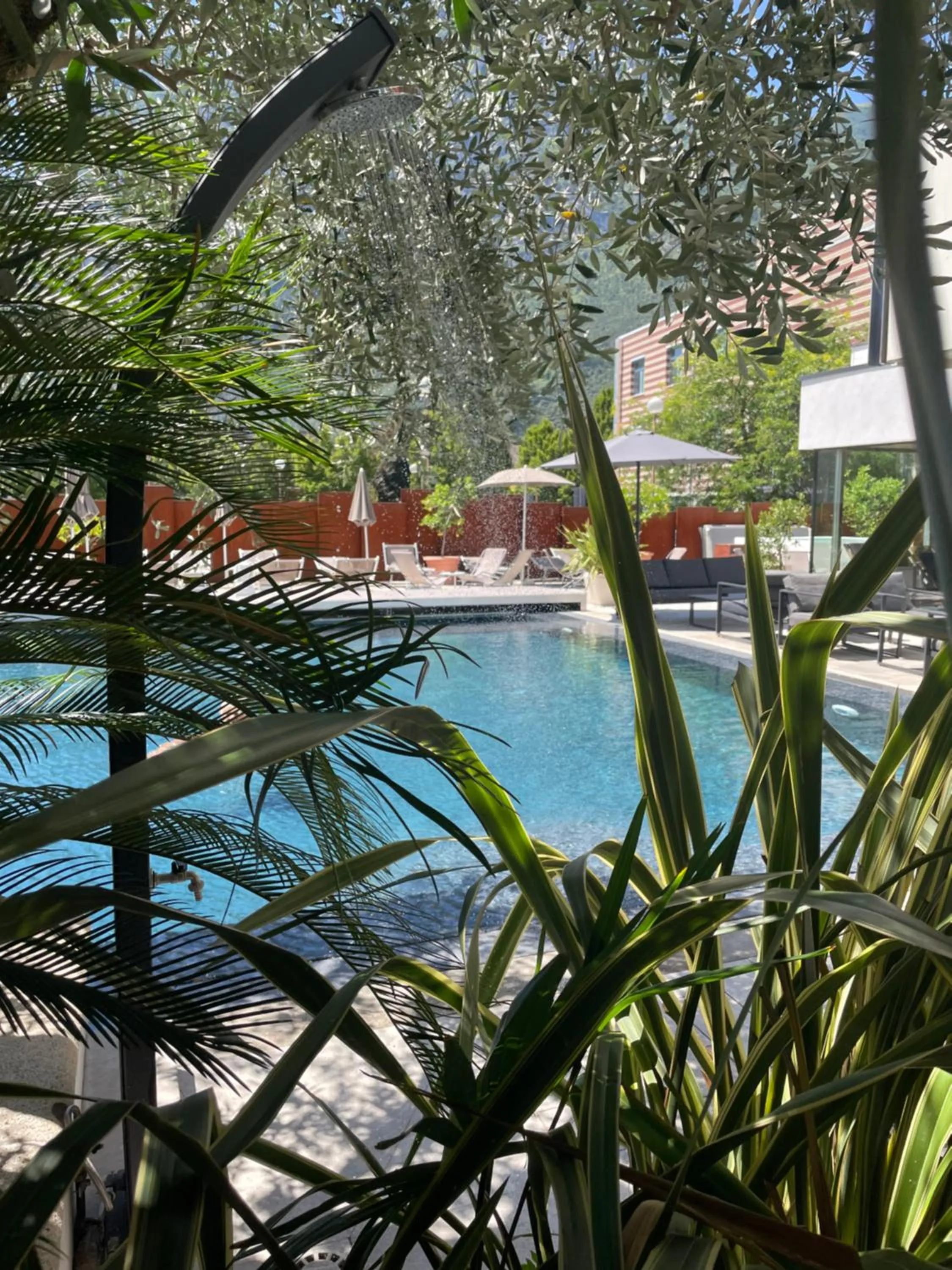 Swimming pool in Hotel Virgilio