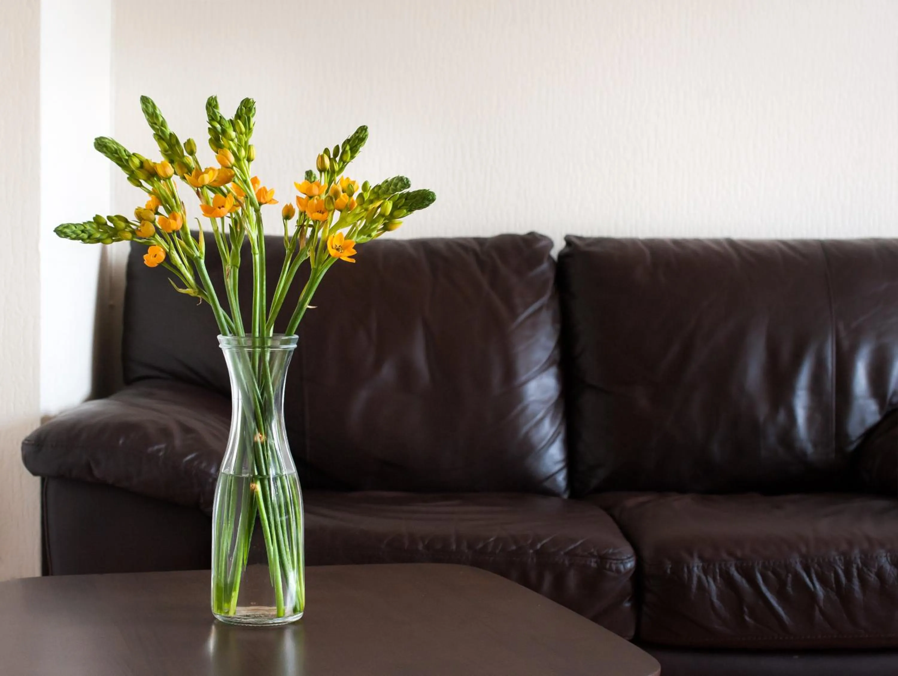 Communal lounge/ TV room in Klaipeda Hostel