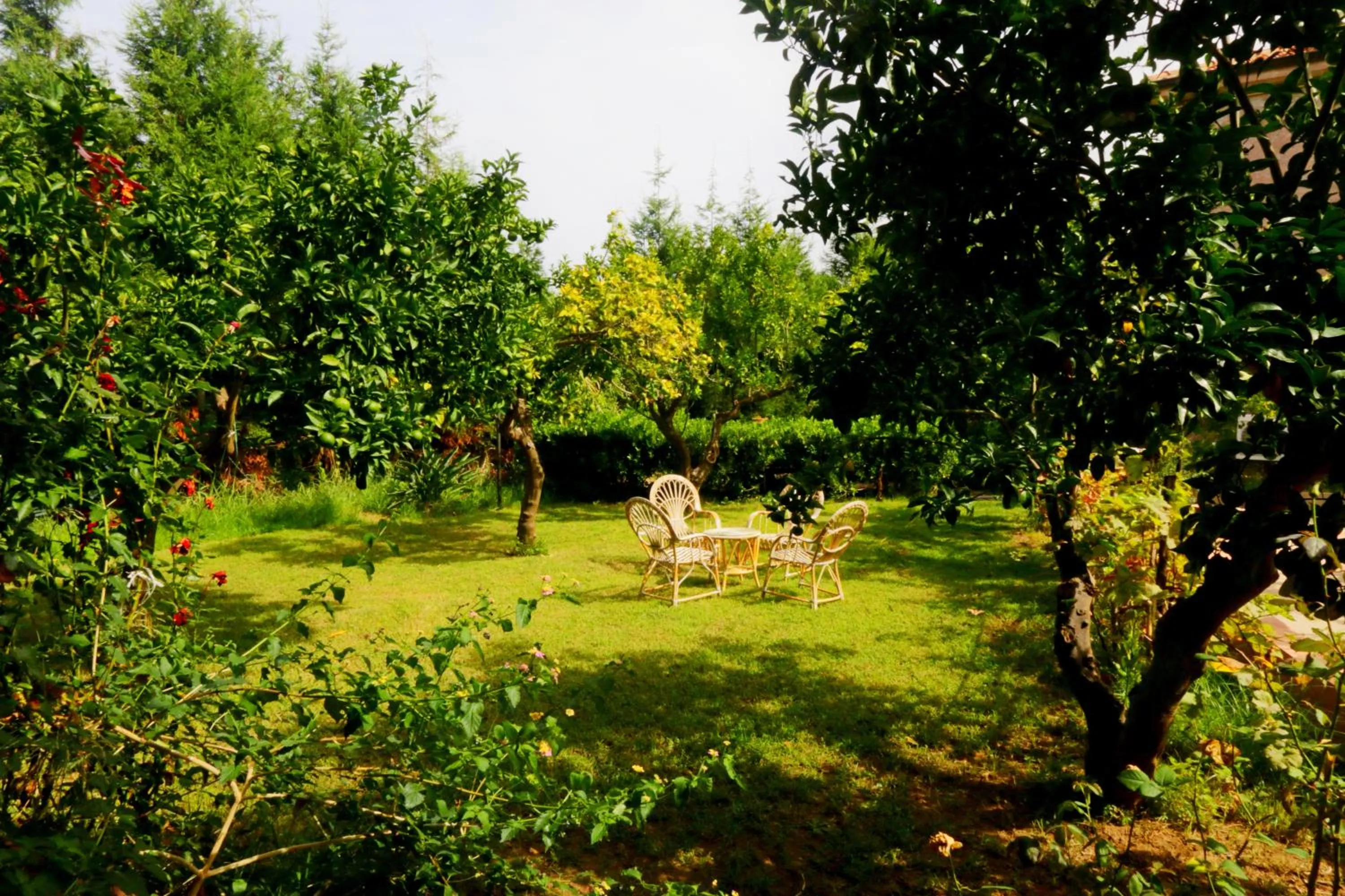 Garden in Residenza La Vigna