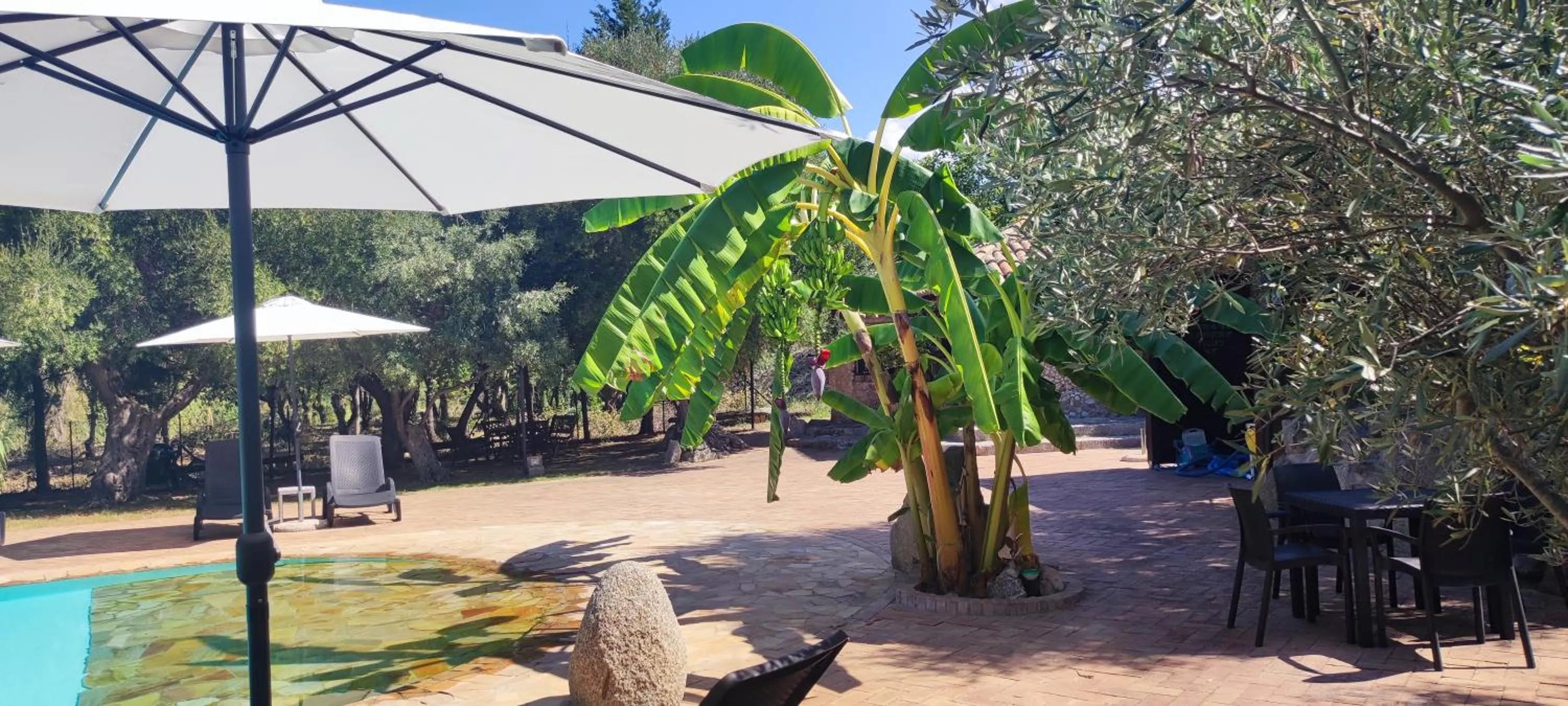 Pool view in Residenza La Vigna