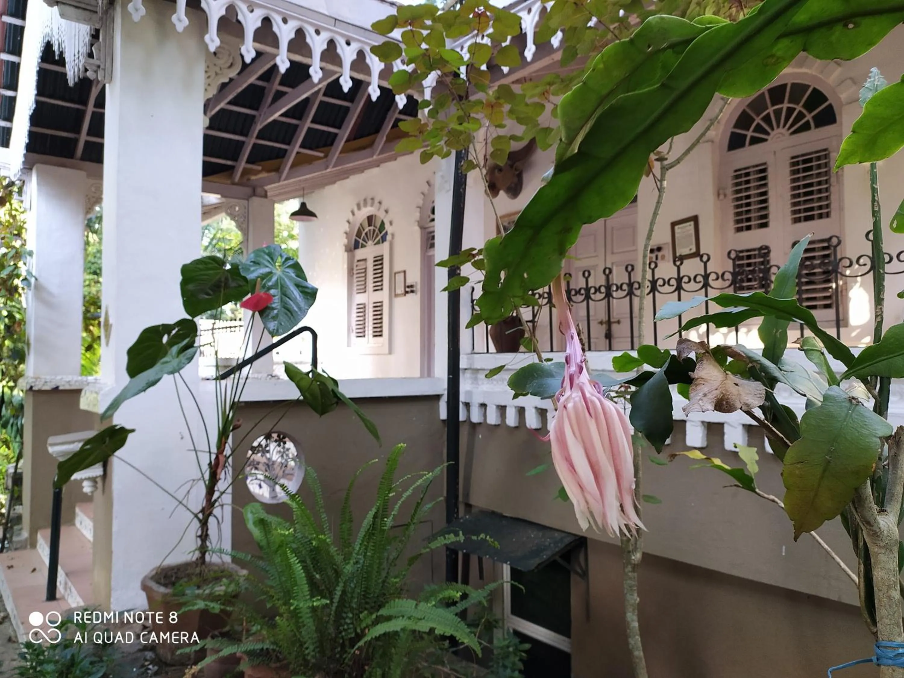 Patio in INDeco Lake Forest