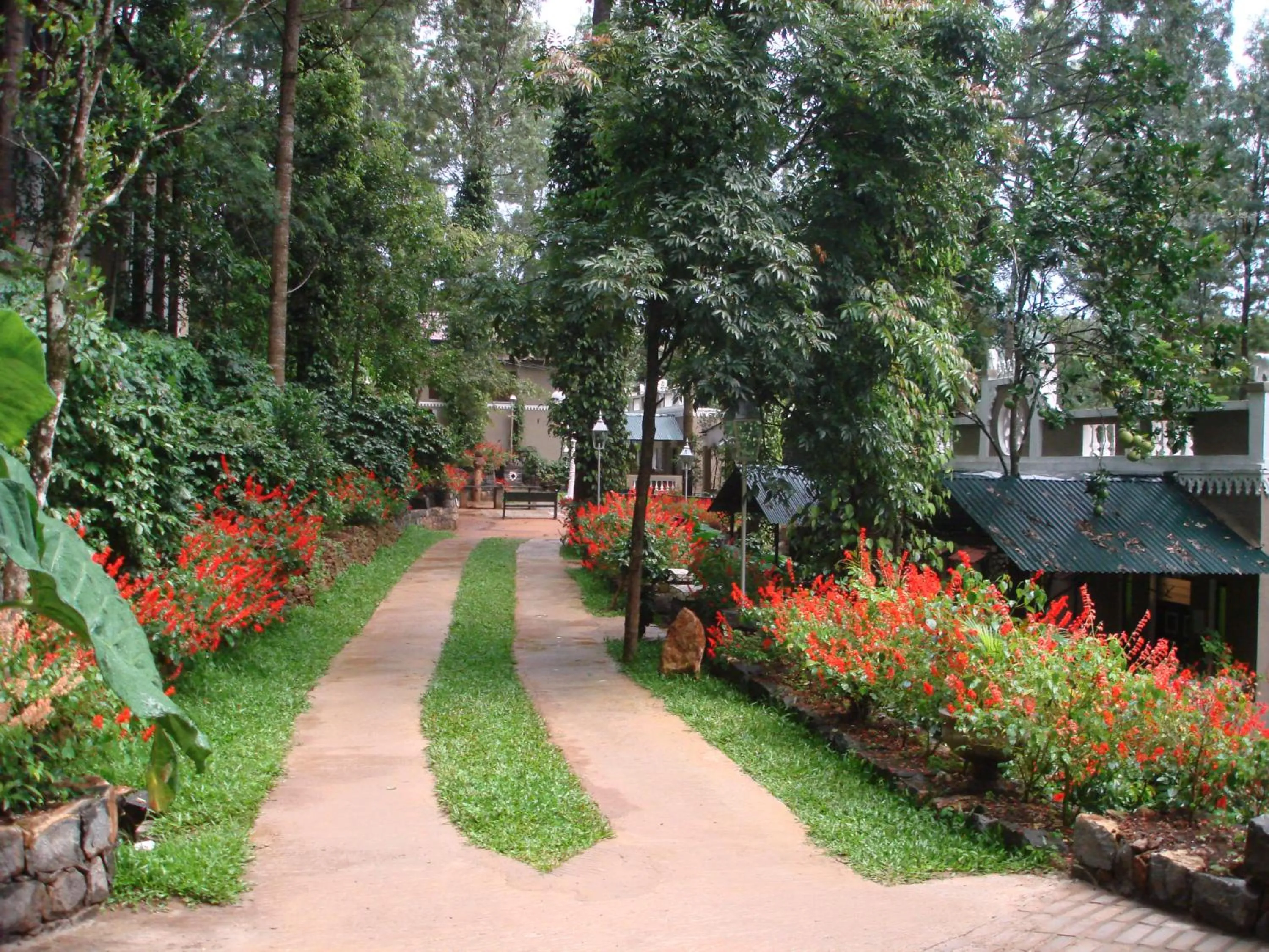 Garden in INDeco Lake Forest