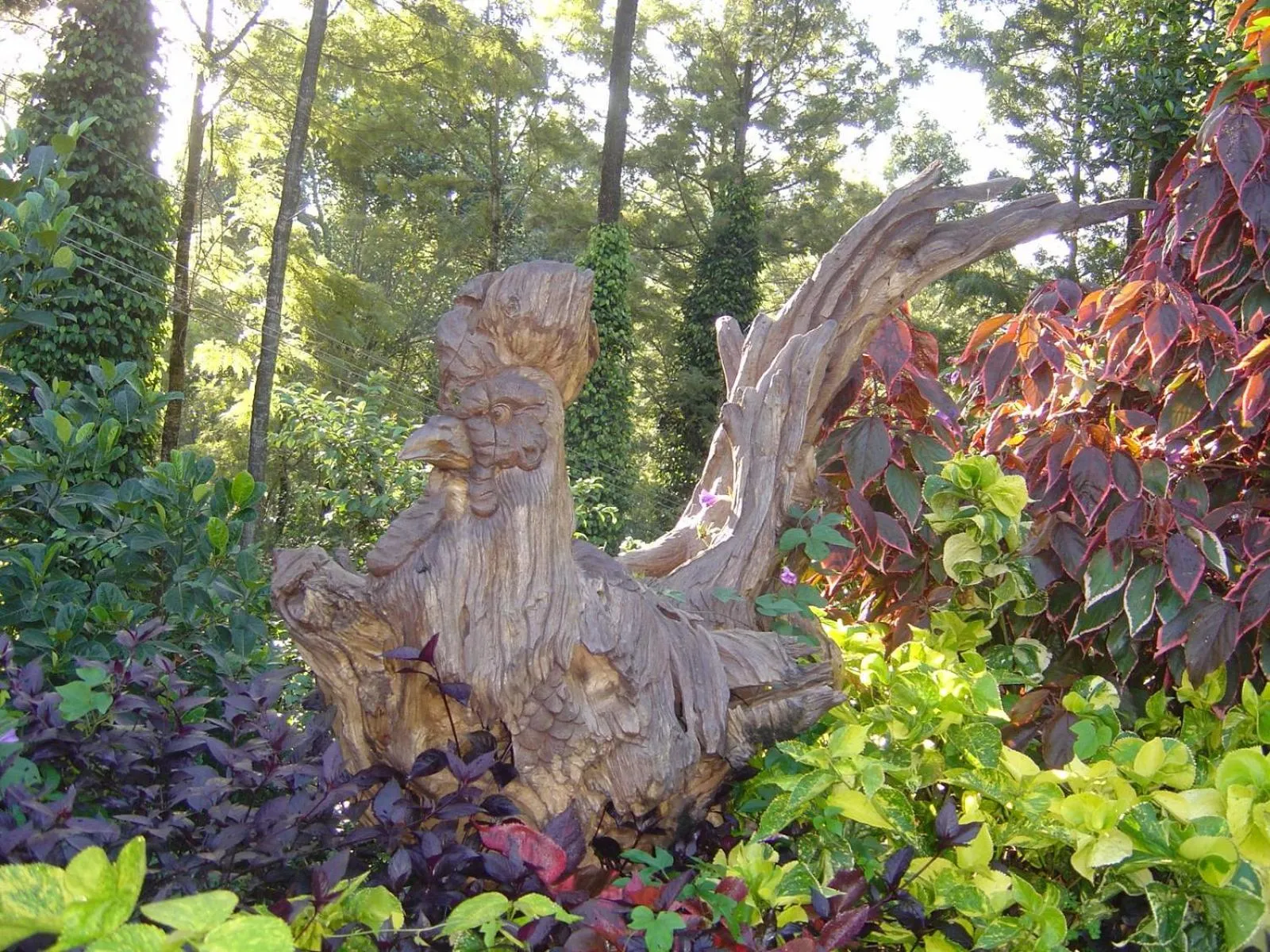 Natural landscape in INDeco Lake Forest