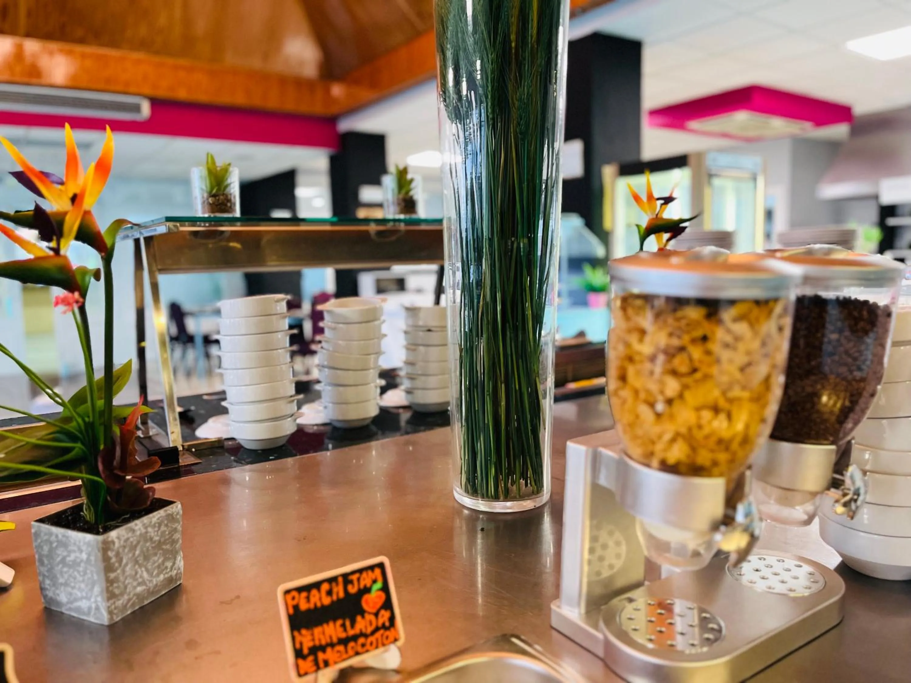 Buffet breakfast in Princesa Solar 4* - Adults Recommended