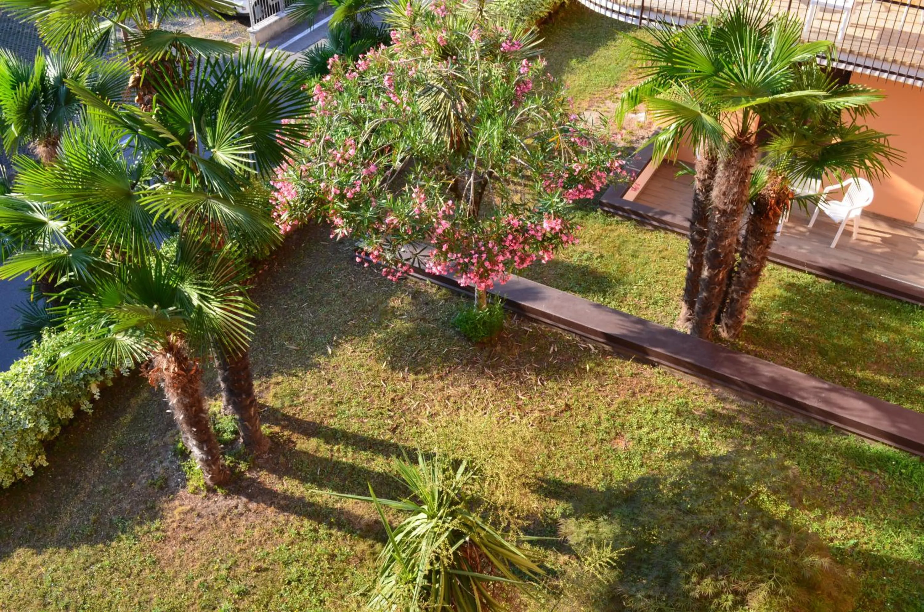 Spring in SunLake Hotel