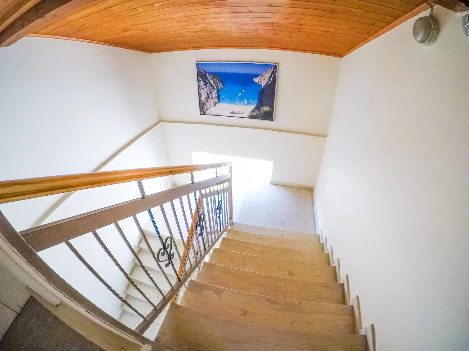 Area and facilities in Vanessa Hotel