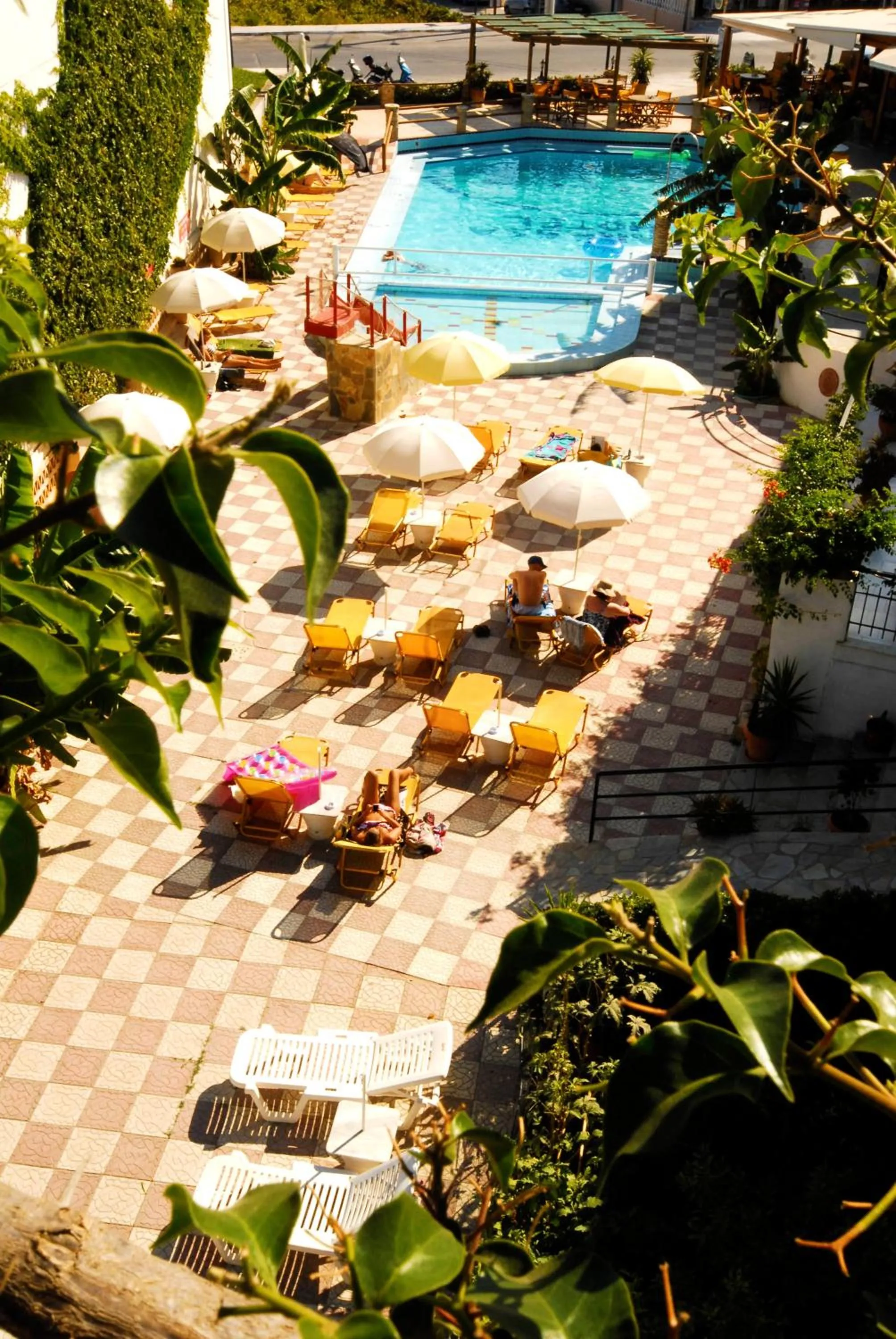 Garden in Vanessa Hotel