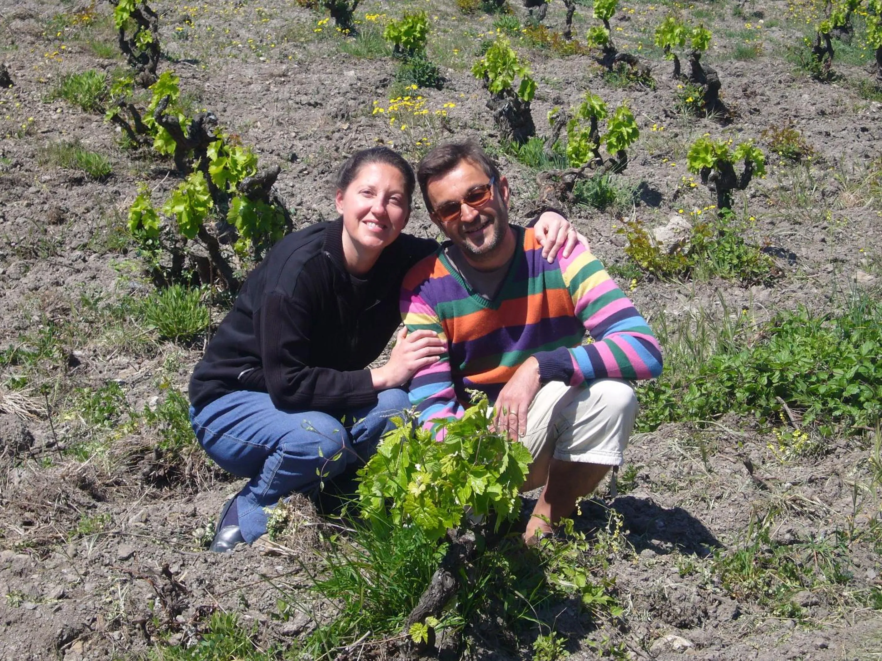 Area and facilities in Domaine Grand Guilhem