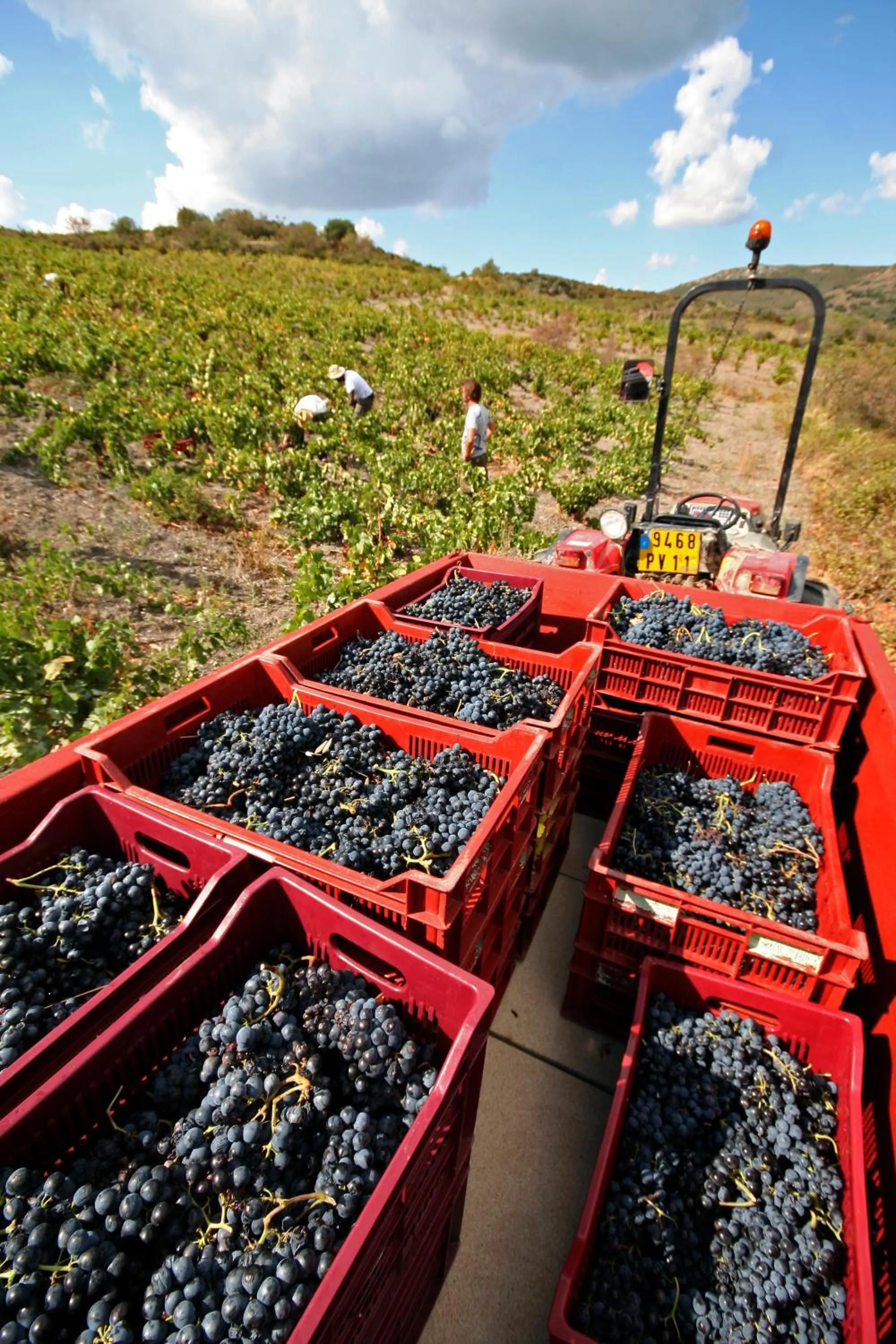 Area and facilities in Domaine Grand Guilhem