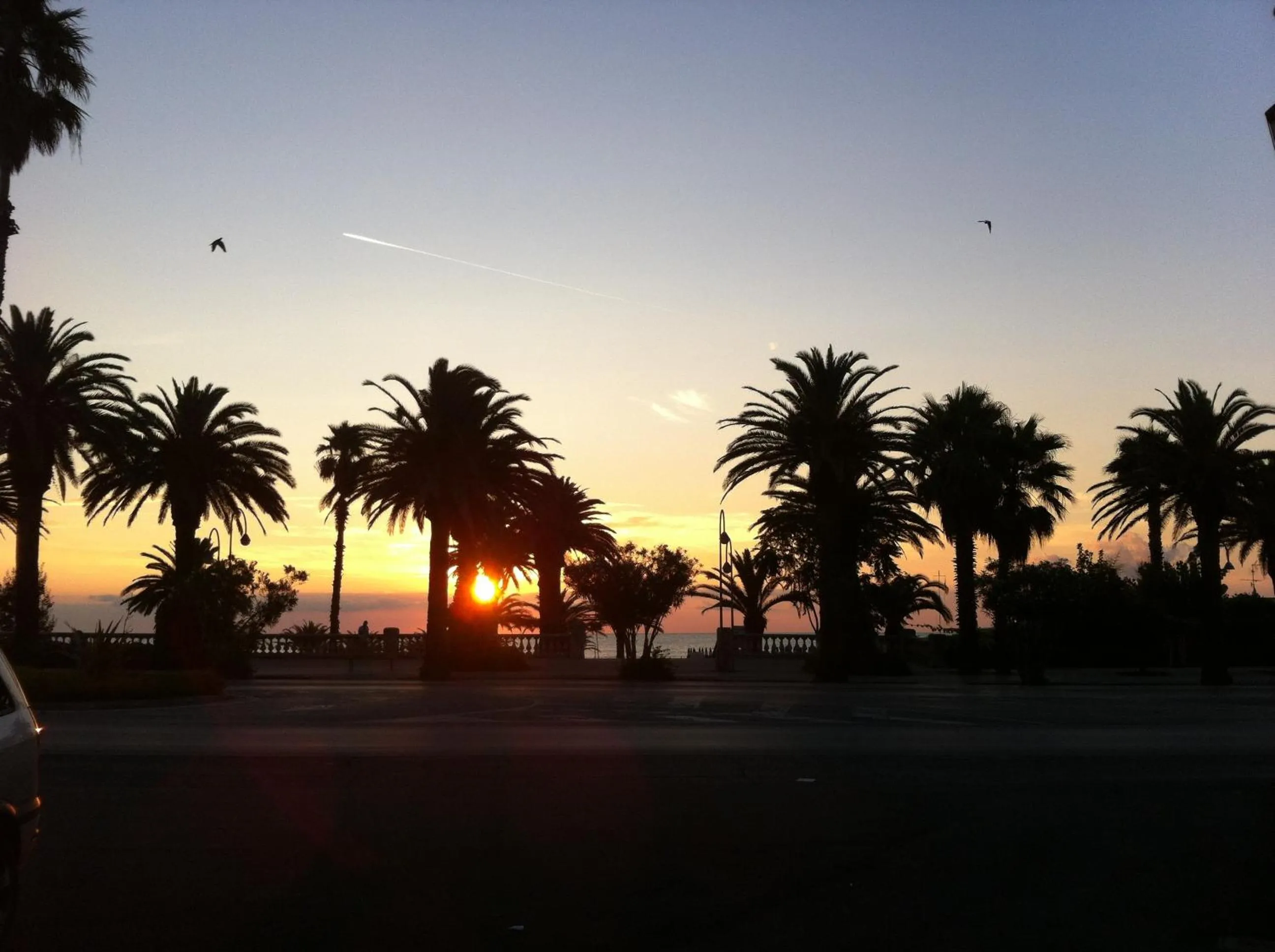 Area and facilities in Hotel La Palazzina