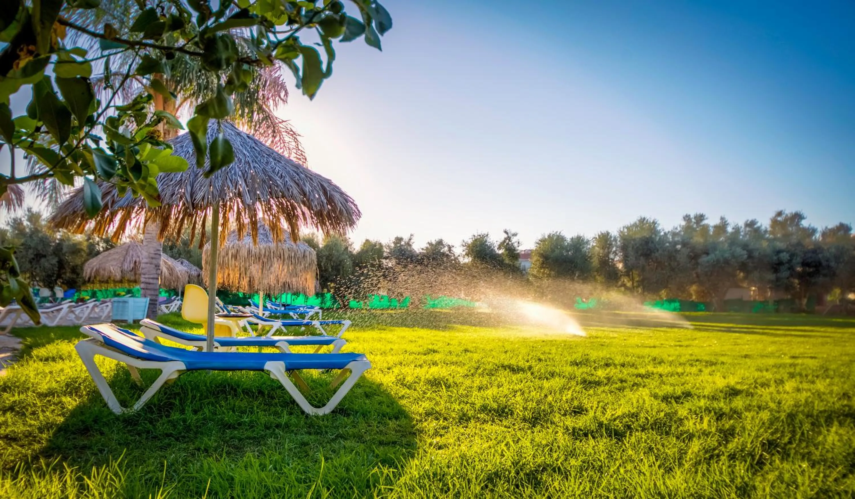 Garden in Captain Karas Holidays Apartments